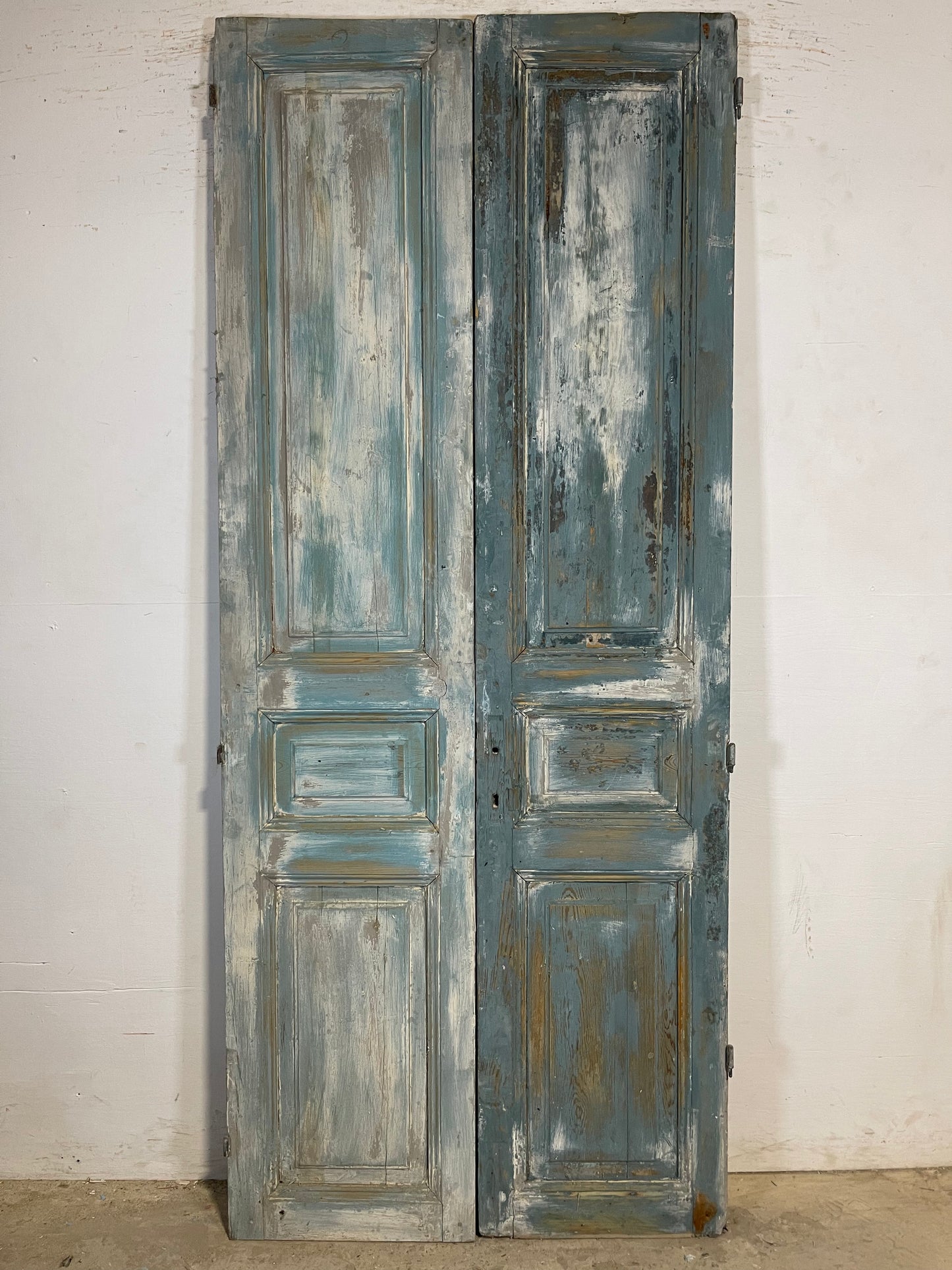 Antique French panel Doors (90.25x38) K656