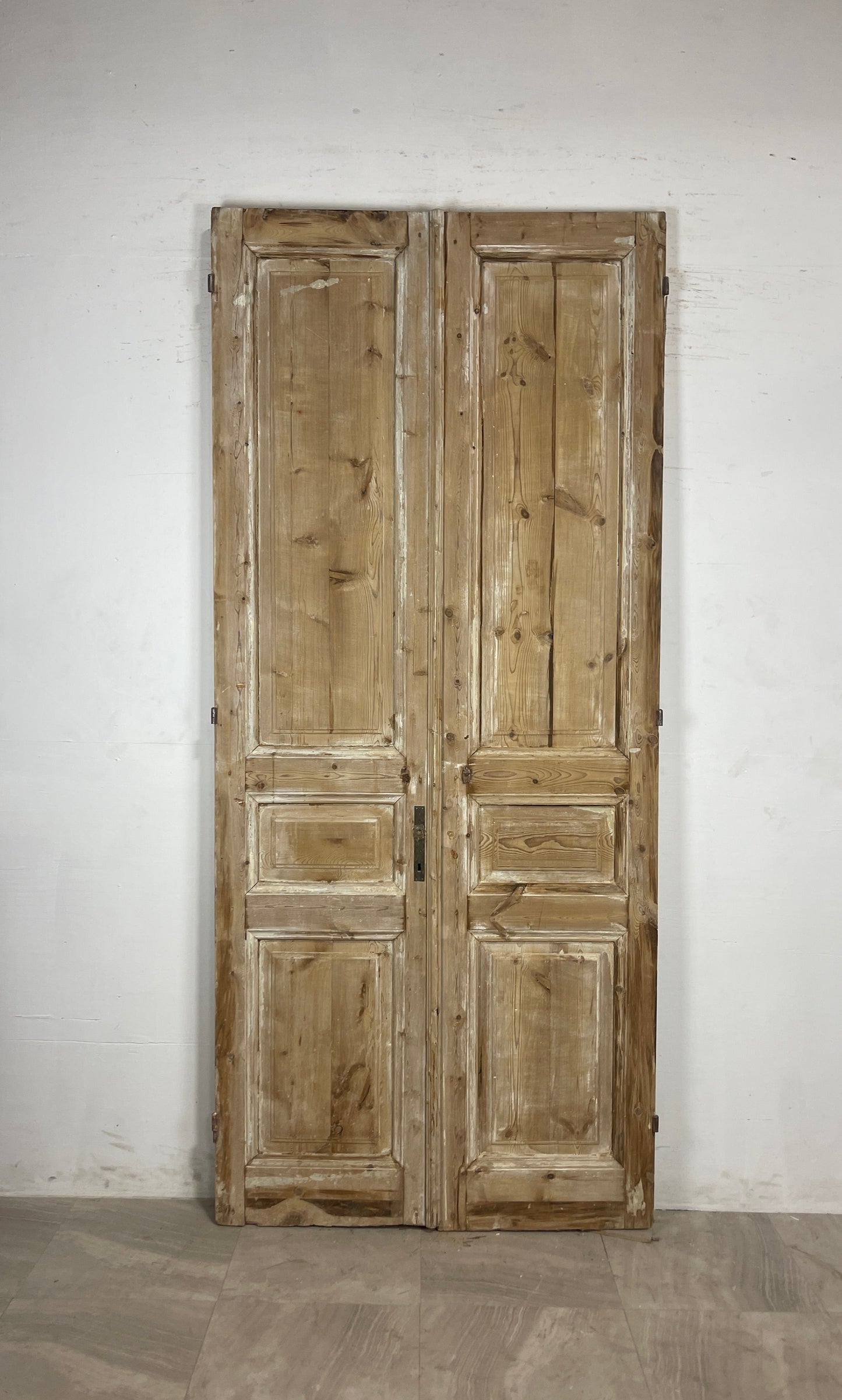 Antique French panel Doors (99.5 x 43.75) N124