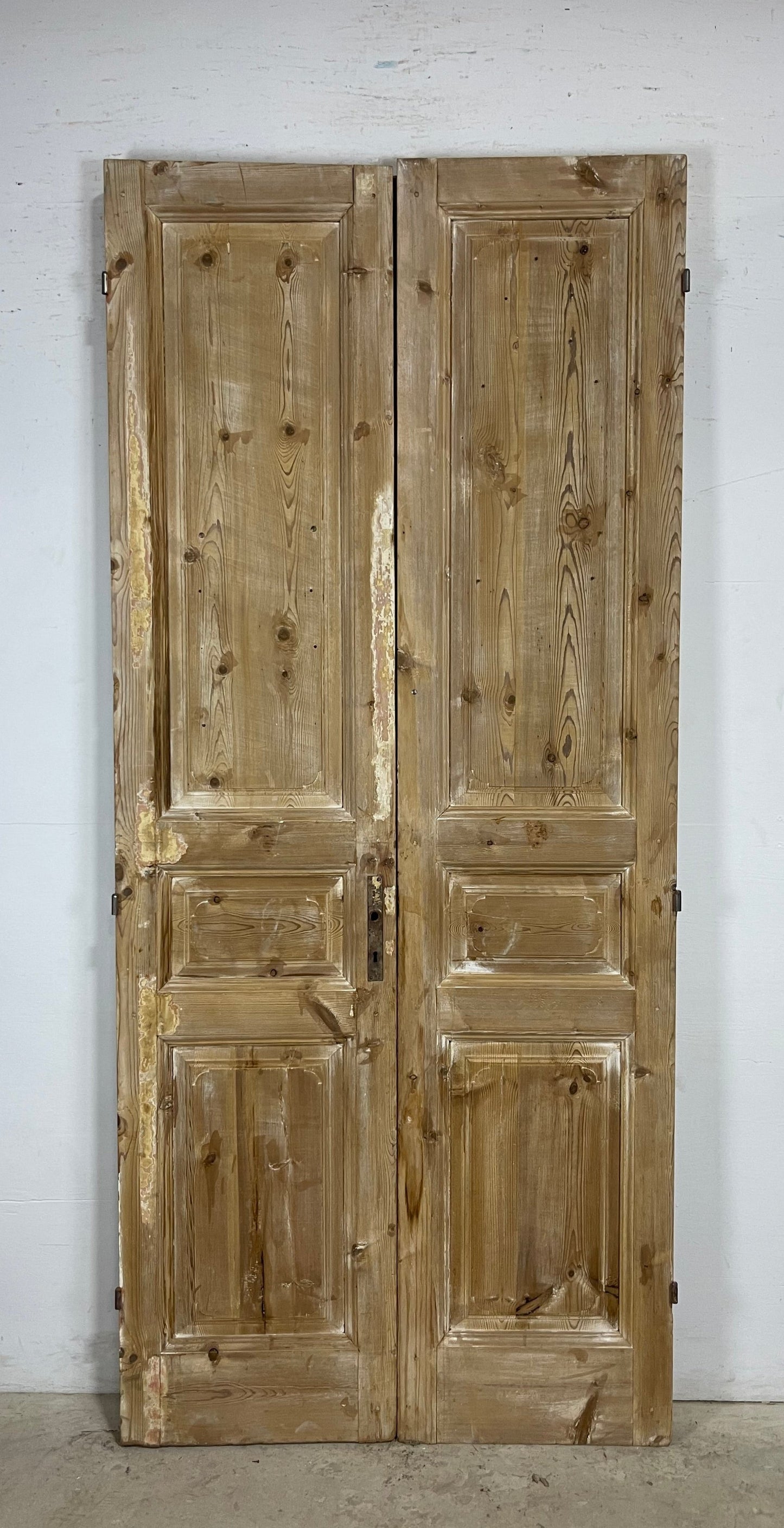 Antique French panel Doors (97.75 x 42.75) M158