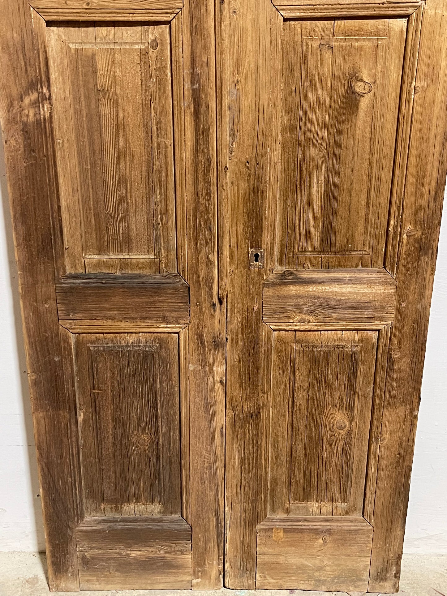 Antique French Panel Doors with glass (77x35.5) J922