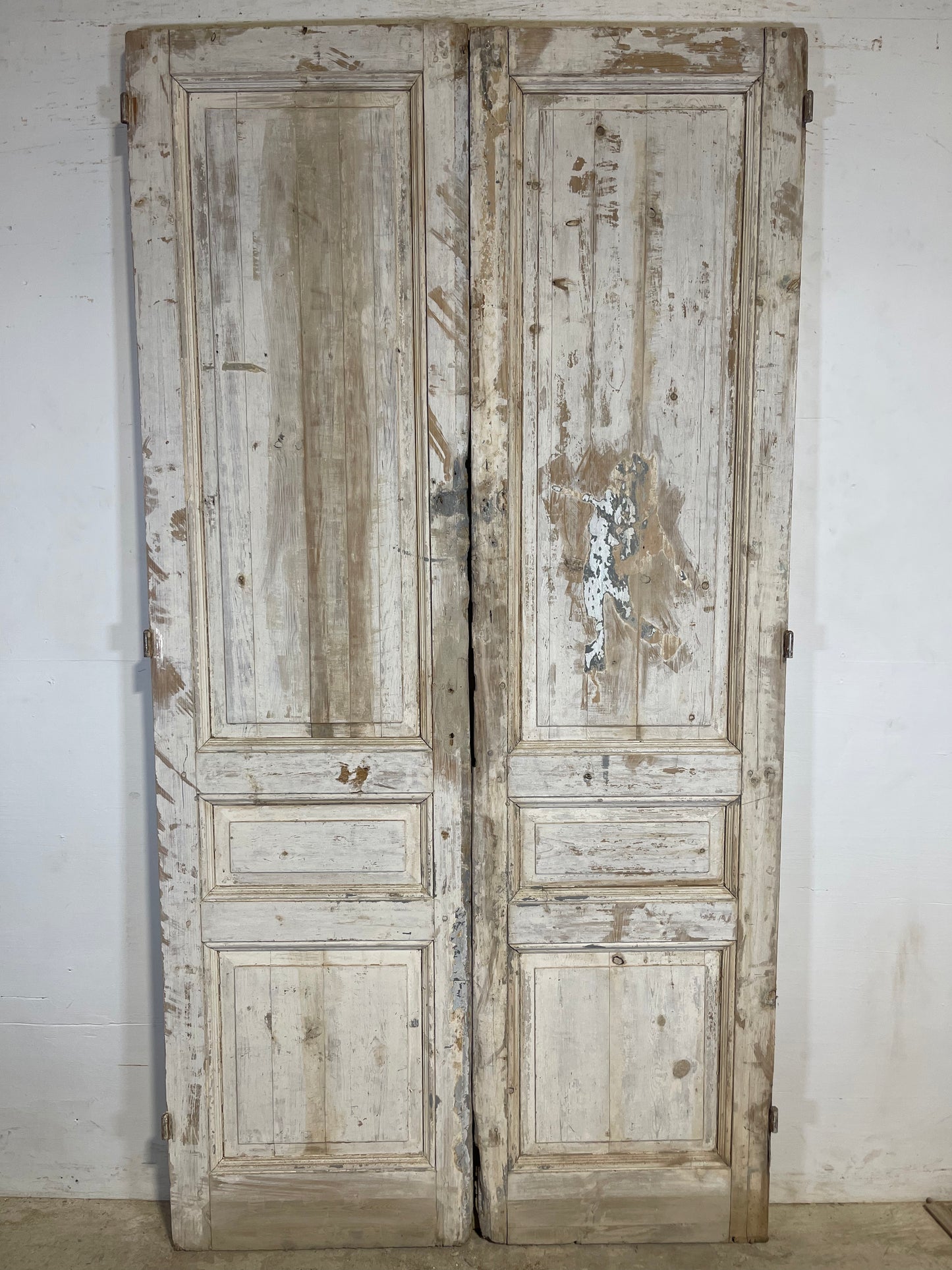 Antique French panel Doors (94.25x49.25) K370