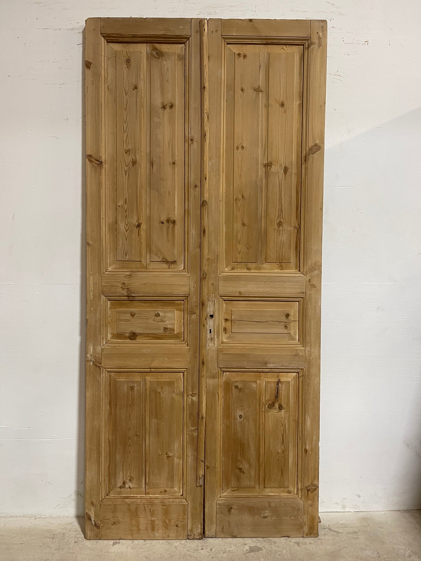 Antique French panel Doors (96.75x44.25) J606