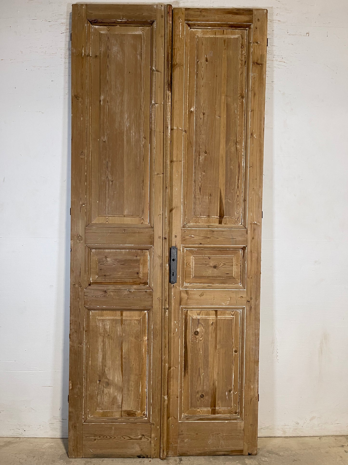 Antique French panel Doors (98.5x41.5) K659