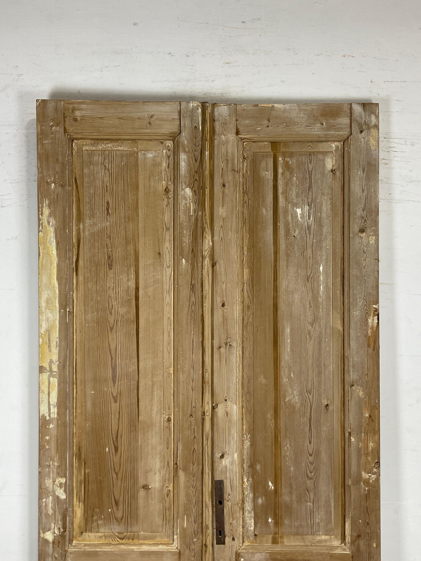 Antique French panel Doors (99 x 43) N108