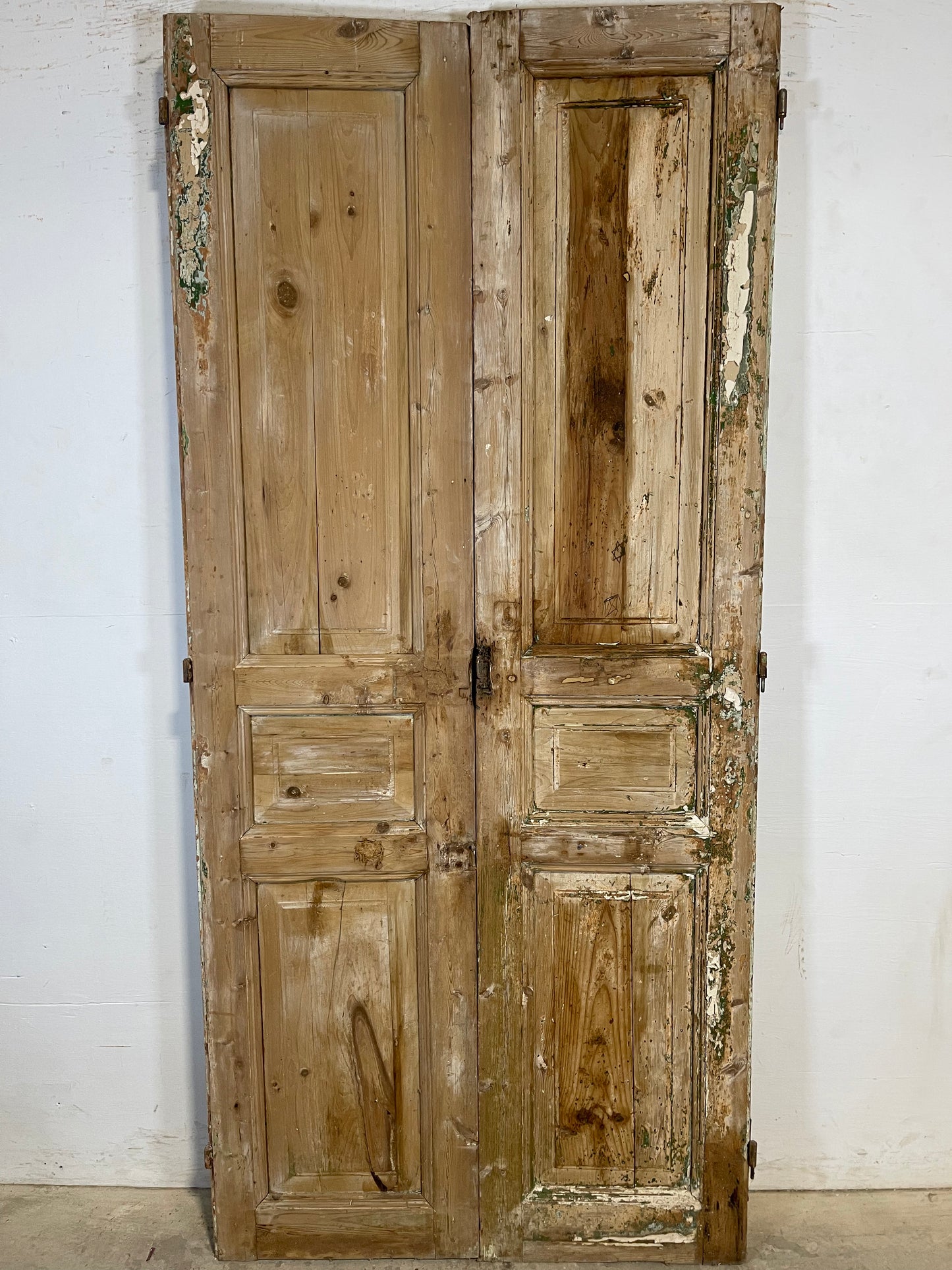 Antique French panel Doors (87.25x39.75) K663