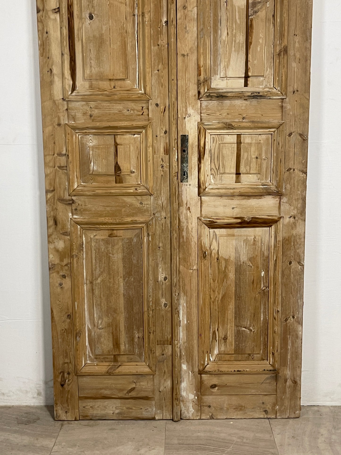 Antique French panel Doors (94.25 x 43.75) N138