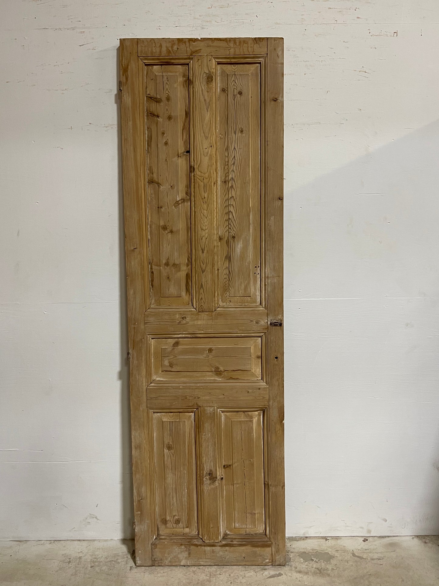 Antique French Panel Door (93.5x287) J017