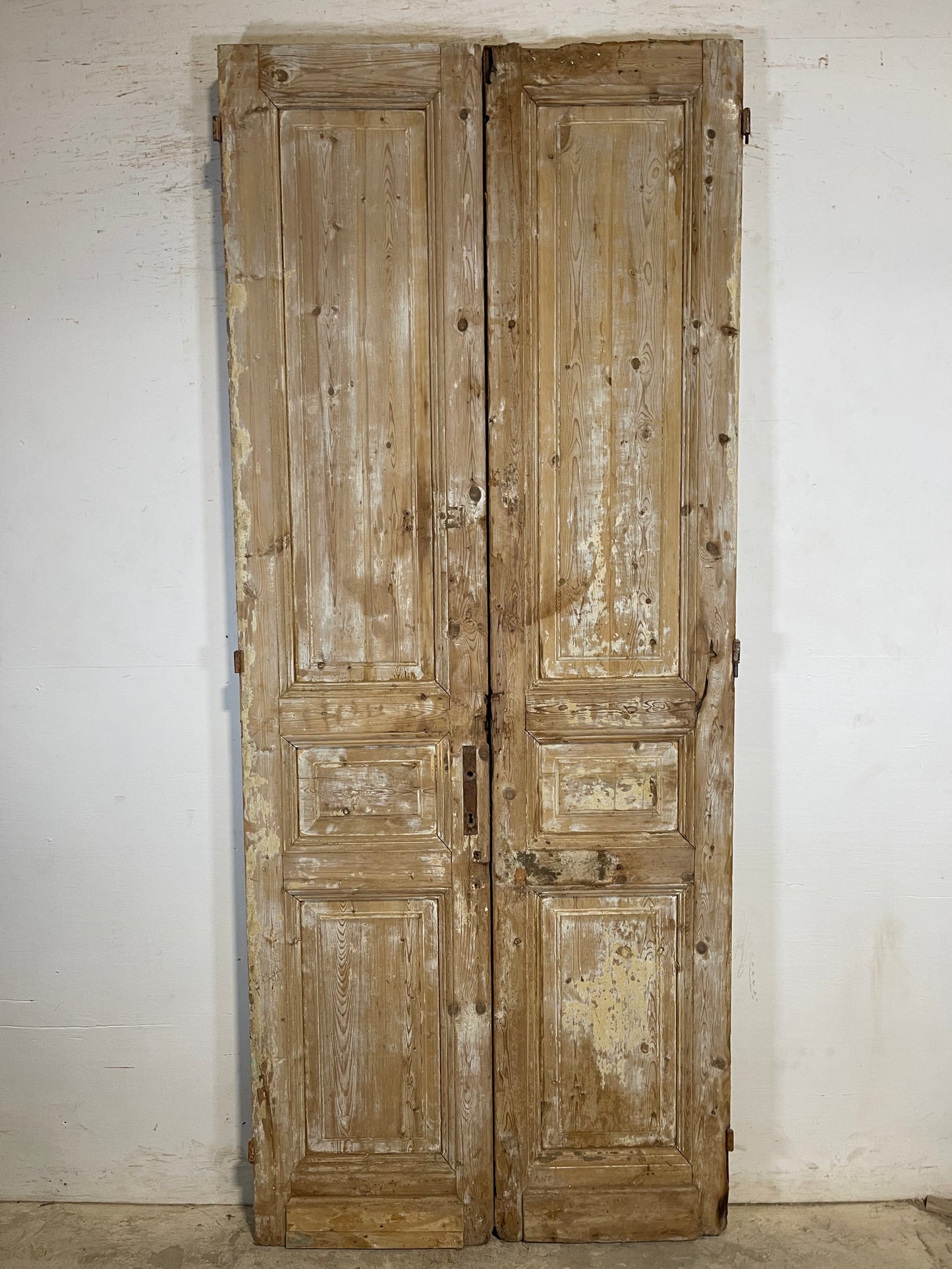 Antique French panel Doors (95.25x39.25) K735