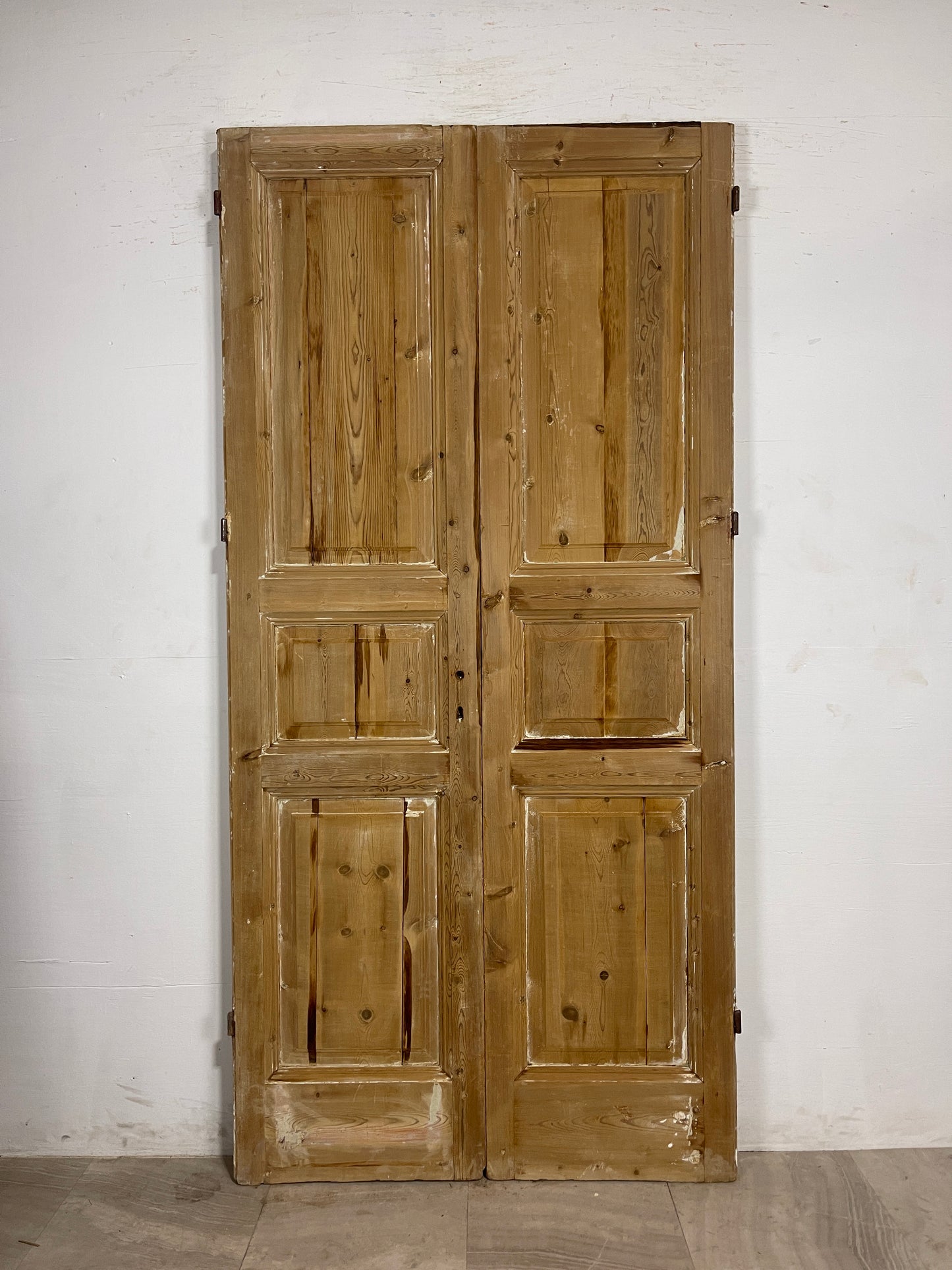 Antique French panel Doors (95 x 46.5) N137 FHL