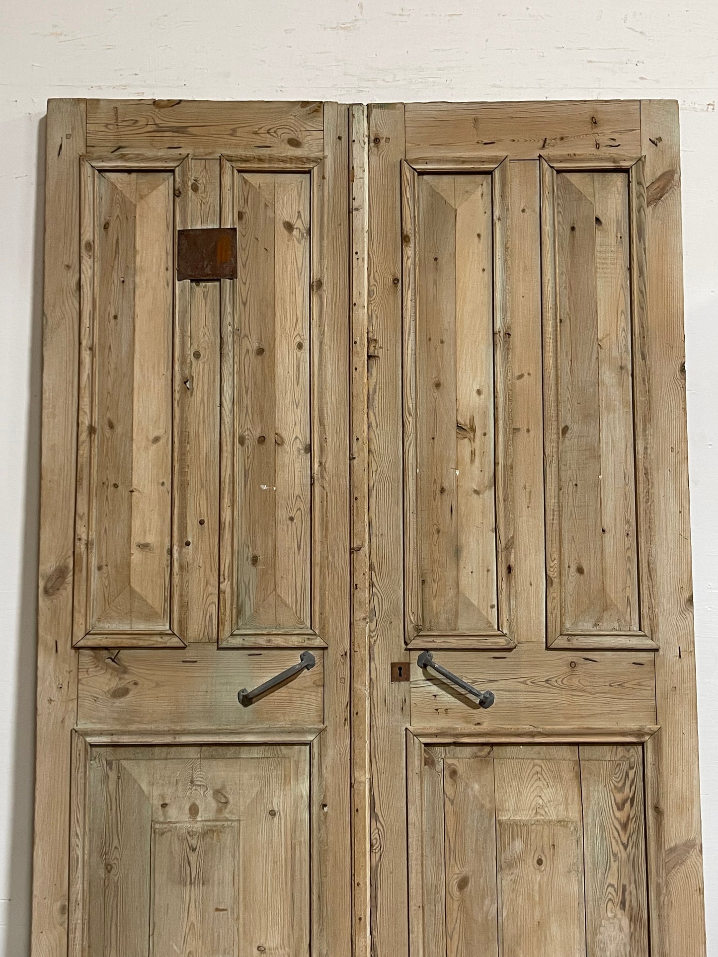 Antique French Panel Doors (94x59.25) J011