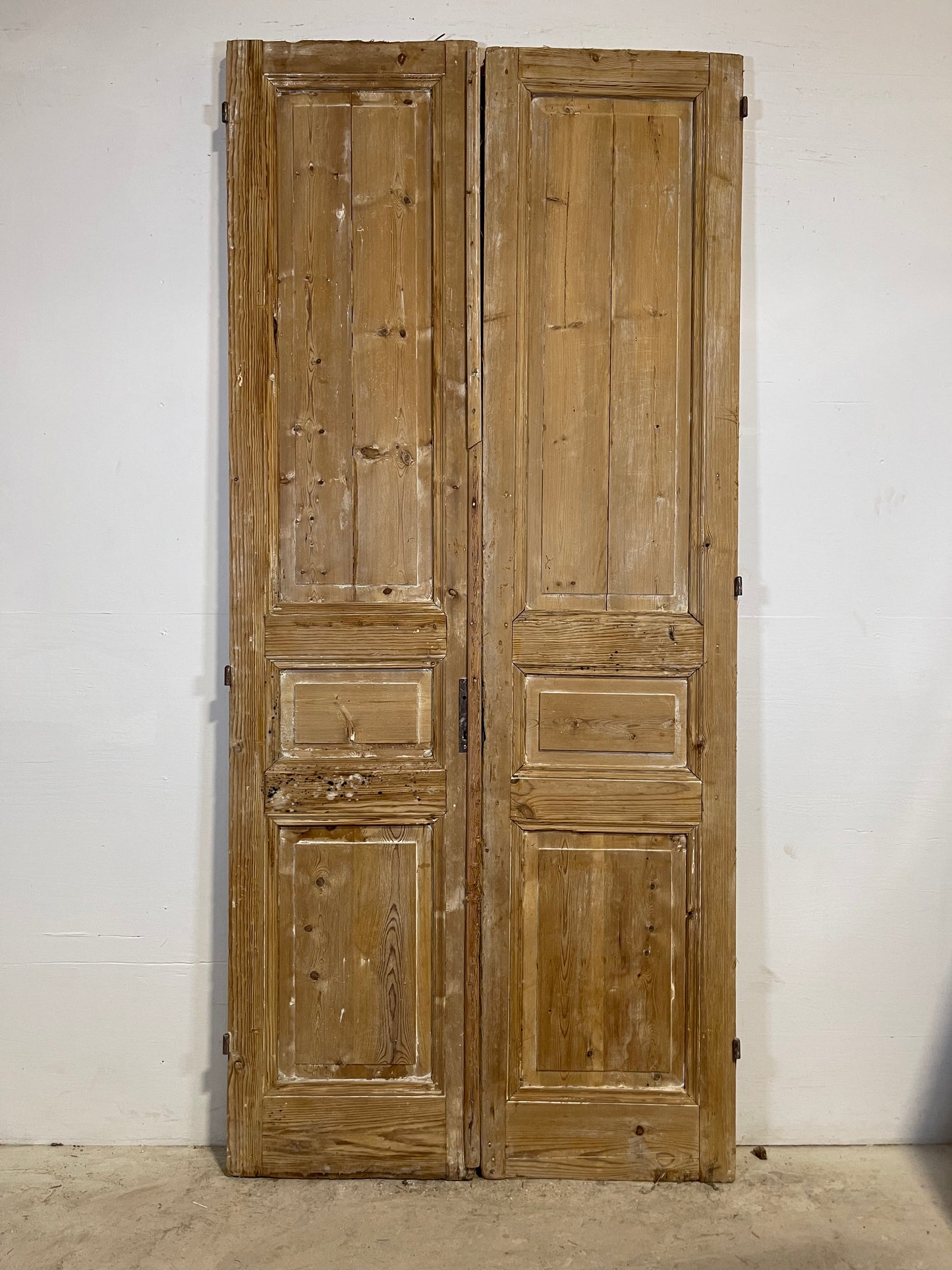 Antique French panel Doors (96.5x43.75) L351