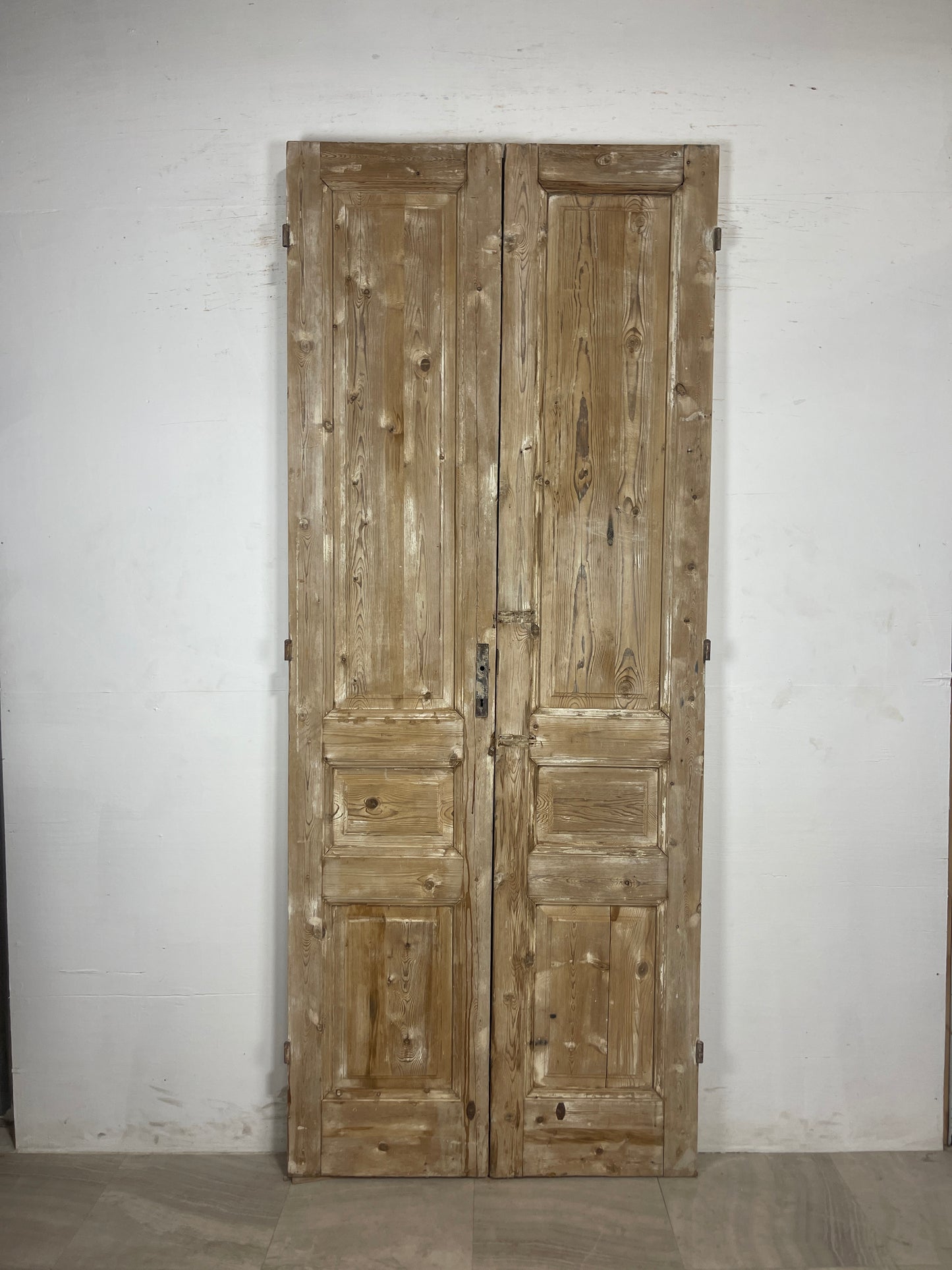 Antique French panel Doors (100 x 40.5) N125
