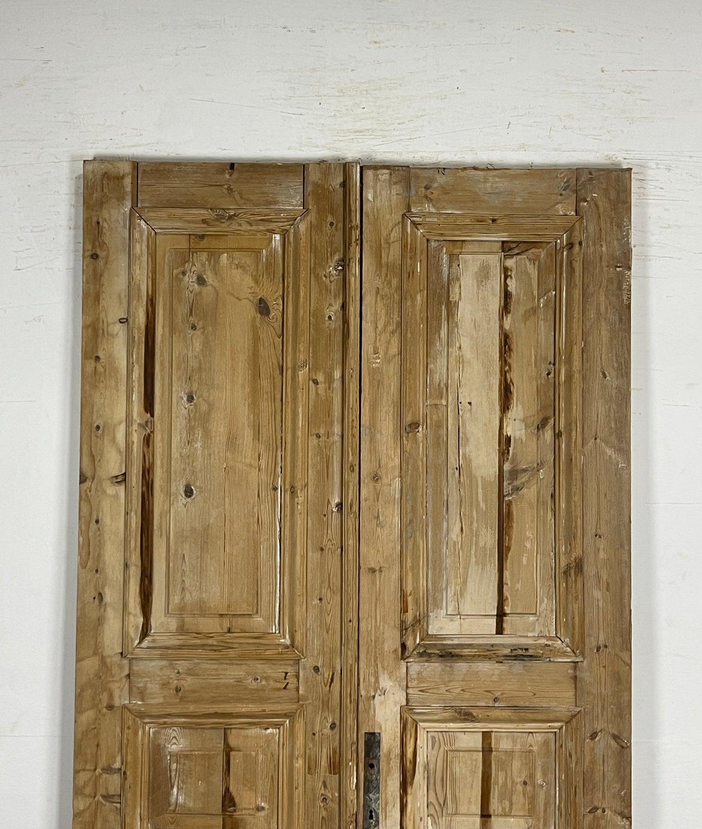 Antique French panel Doors (94.25 x 43.75) N138