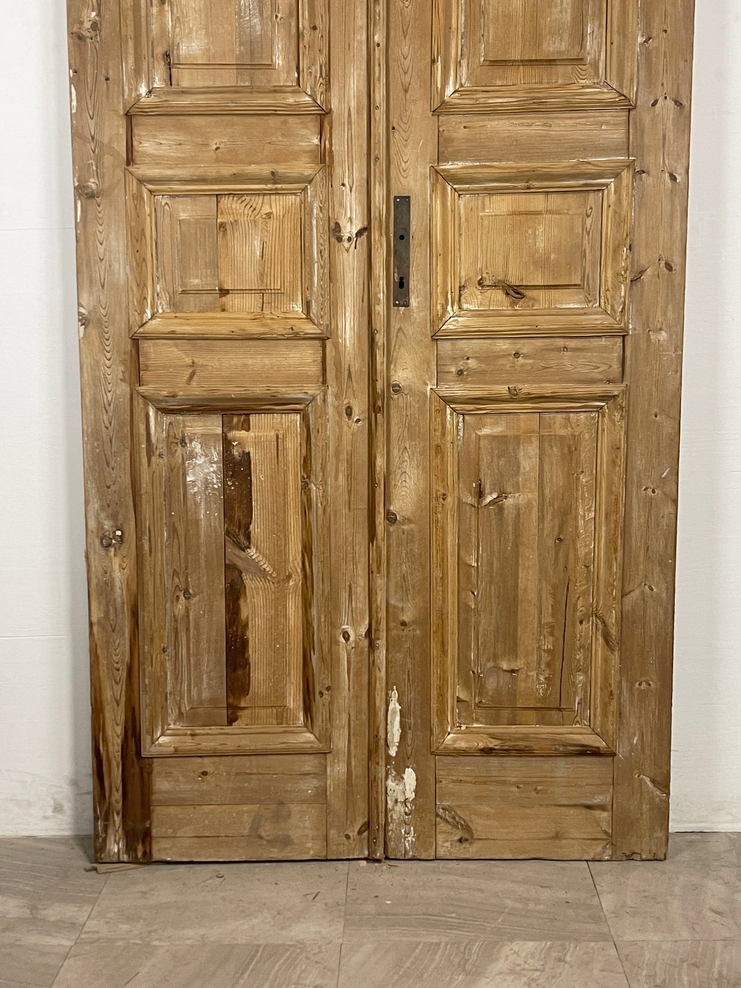 Antique French panel Doors (94.25 x 43.5) N112