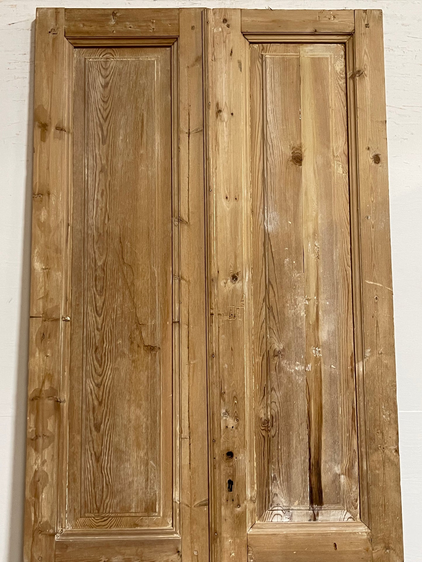 Antique French panel Doors (94.25x39.25) J653