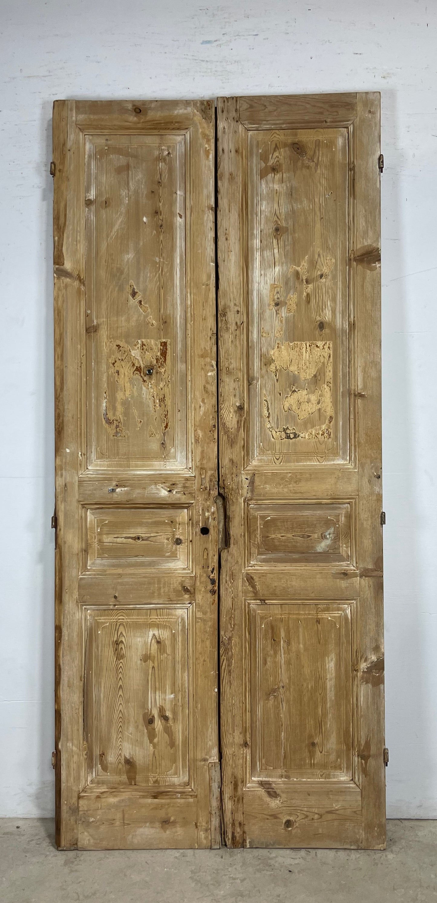 Antique French panel Doors (98 x 43) M172