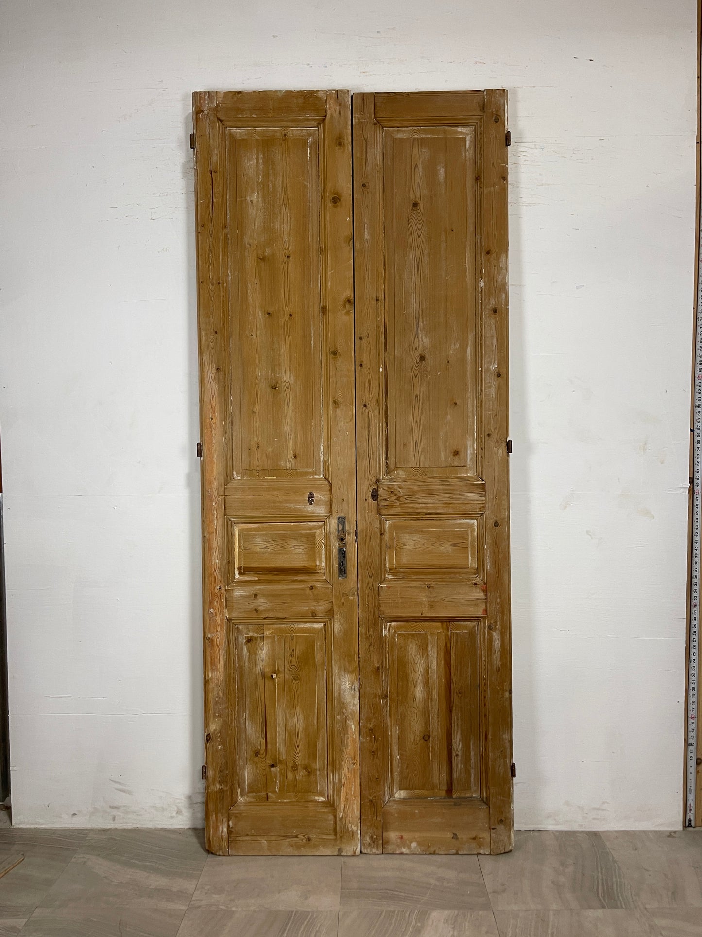 Antique French panel Doors (101.25 x 41.5) N103