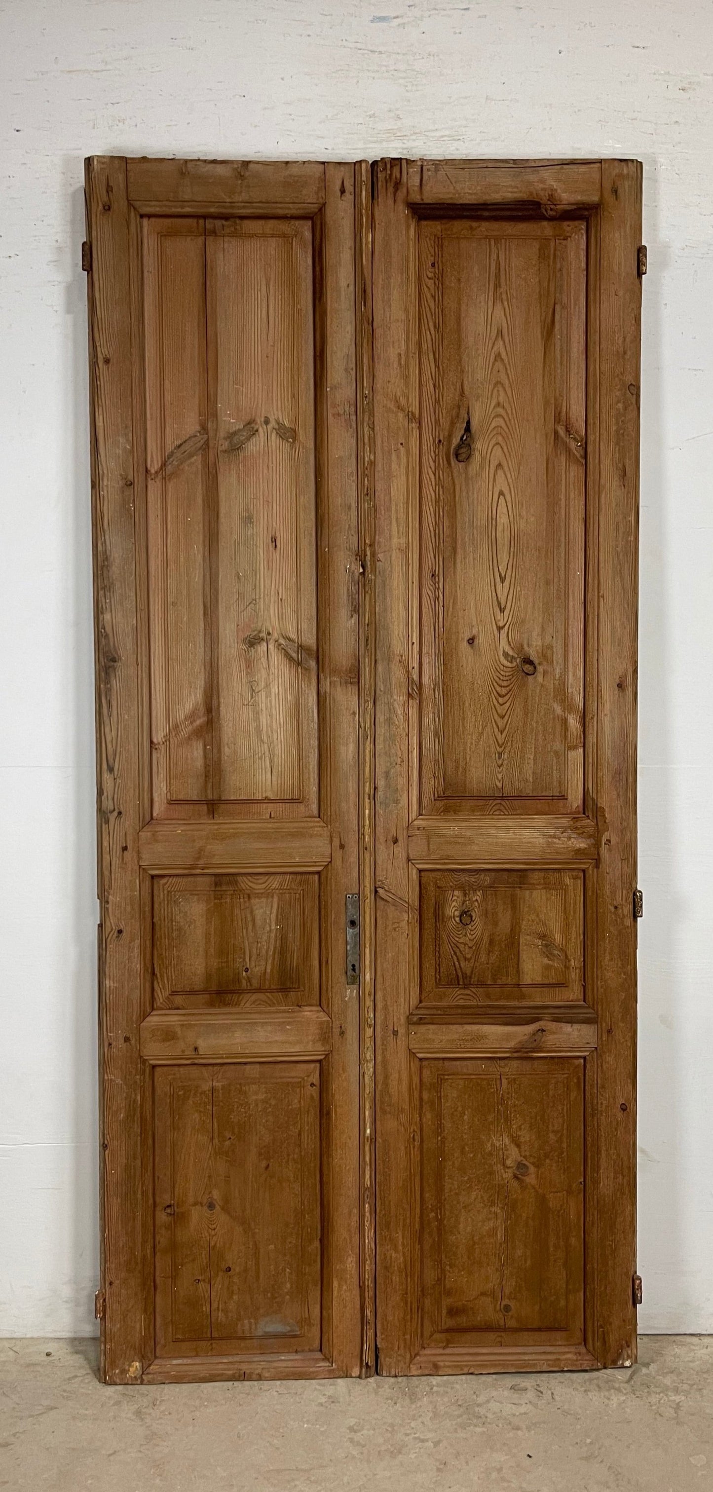 Antique French panel Doors (94.5 x 43) M173