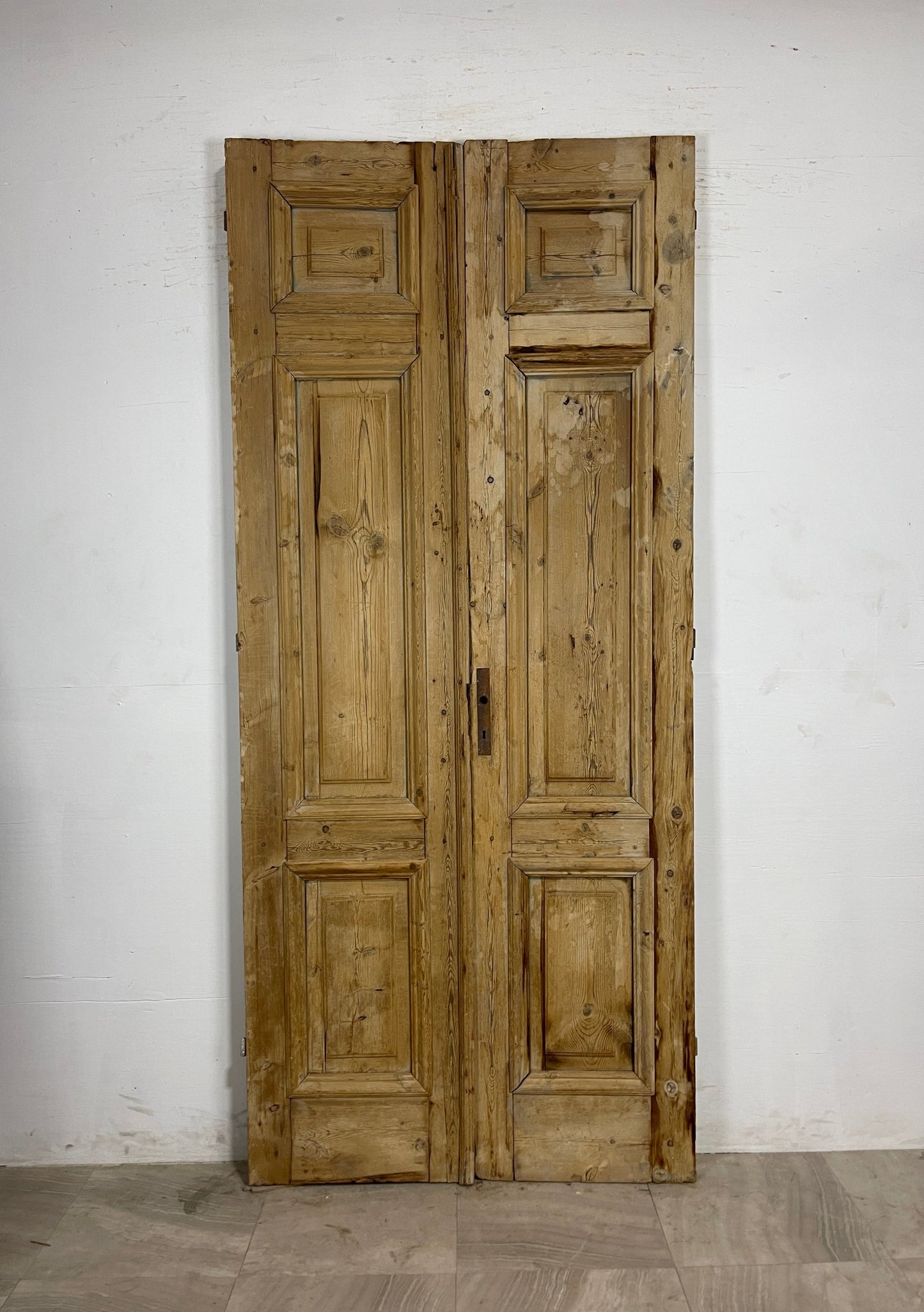 Antique French panel Doors (97.25 x 42.25) N142