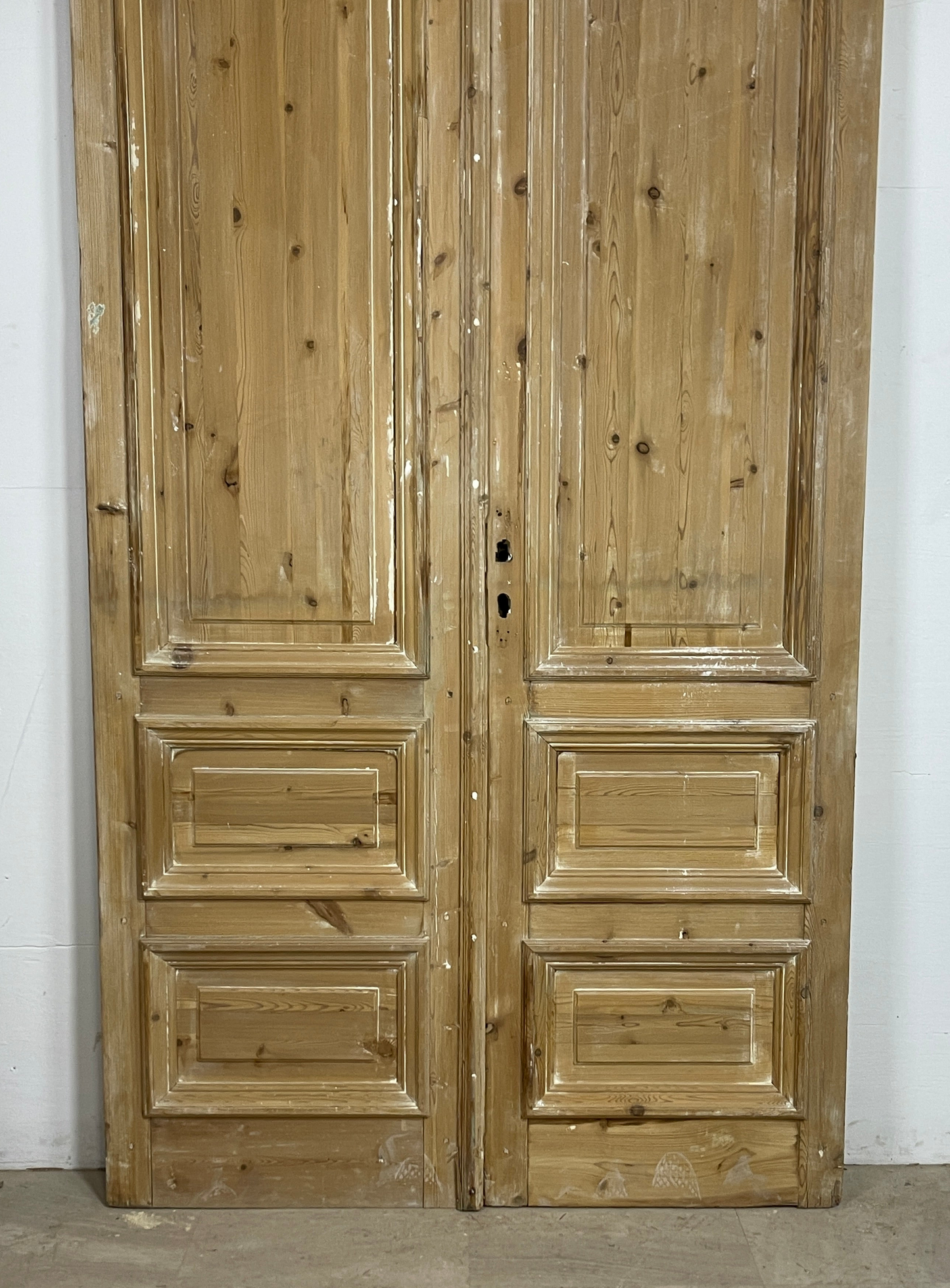 Antique French panel doors with Carvings (100 x 50) P48