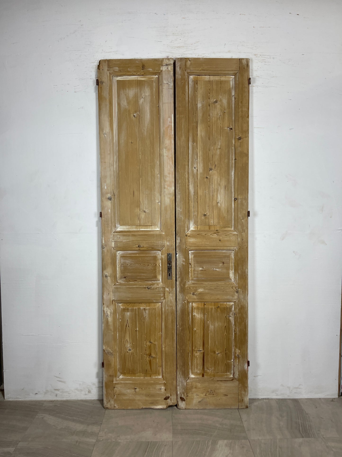Antique French panel Doors (93.5 x 39.75) N099