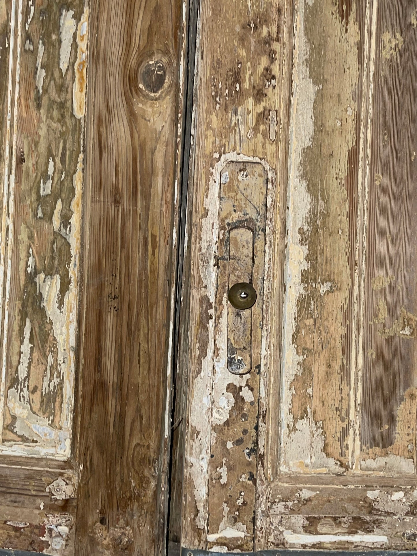 Antique French Panel Door with Carving (114.5x58.5) L009