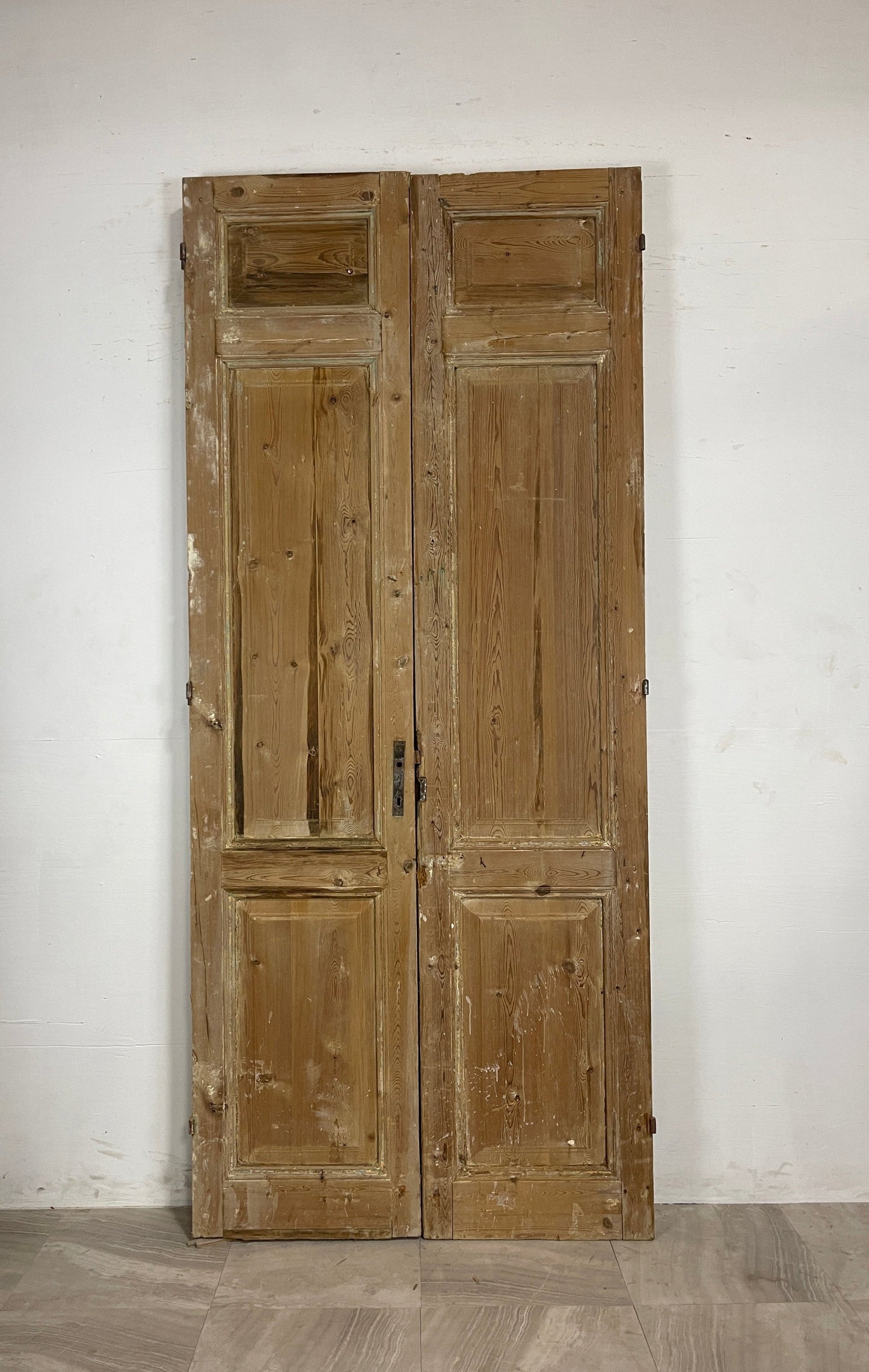 Antique French panel Doors (101.5 x 43.5) N055