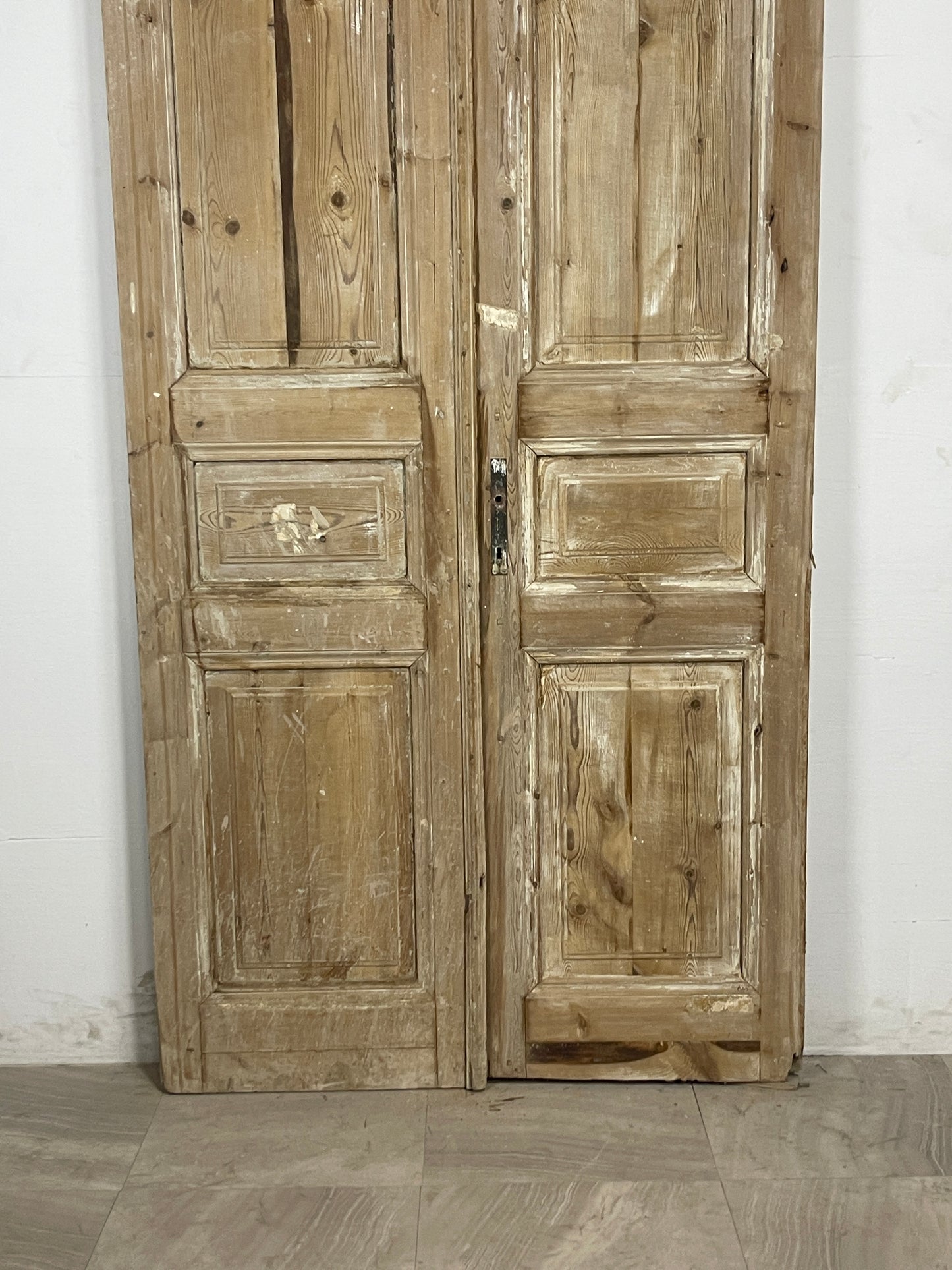 Antique French panel Doors (99.5 x 43.75) N124