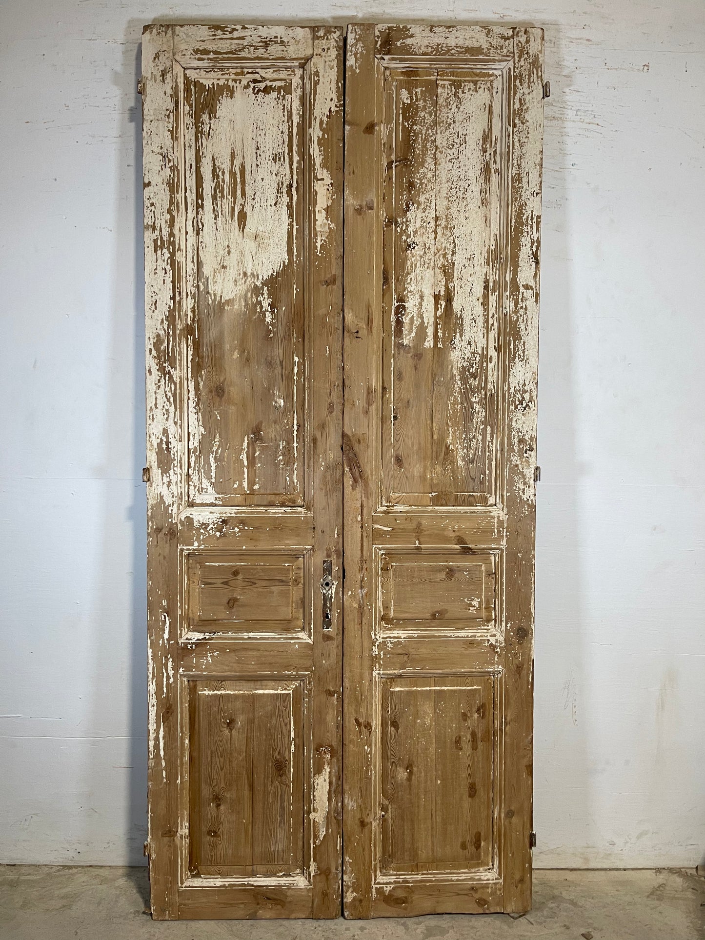 Antique French panel Doors (96.75x42.5) K713