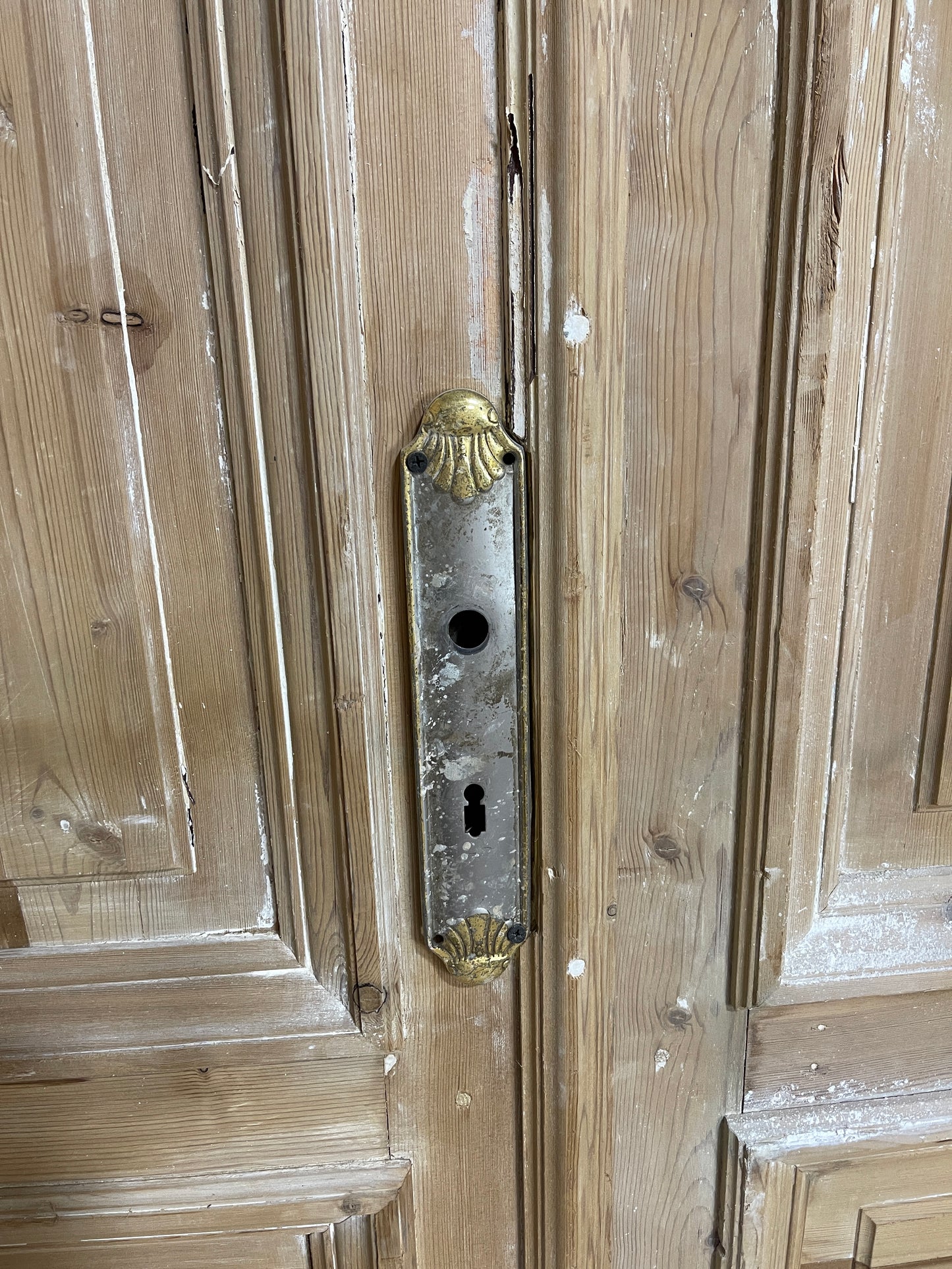 Antique French panel doors with Carvings (100 x 50) P48