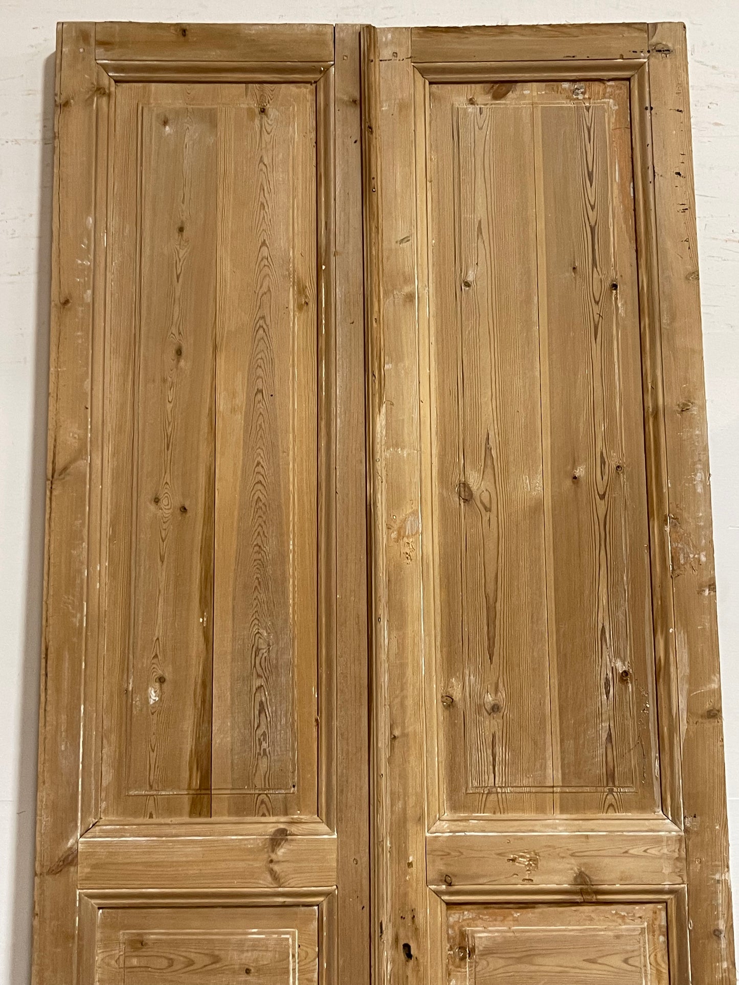 Antique French panel Doors (103.25x45.5) J644