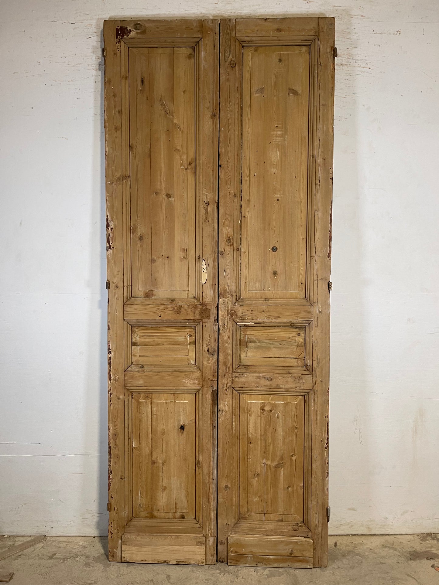 Antique French panel Doors (95.5x39.25) K739