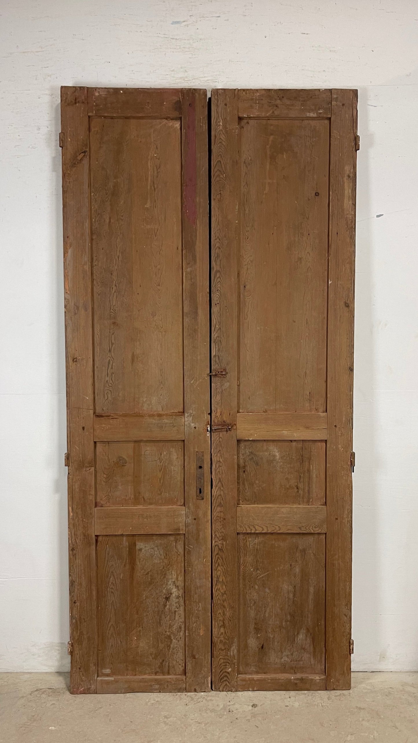 Antique French panel Doors (95.25 x 45) M157
