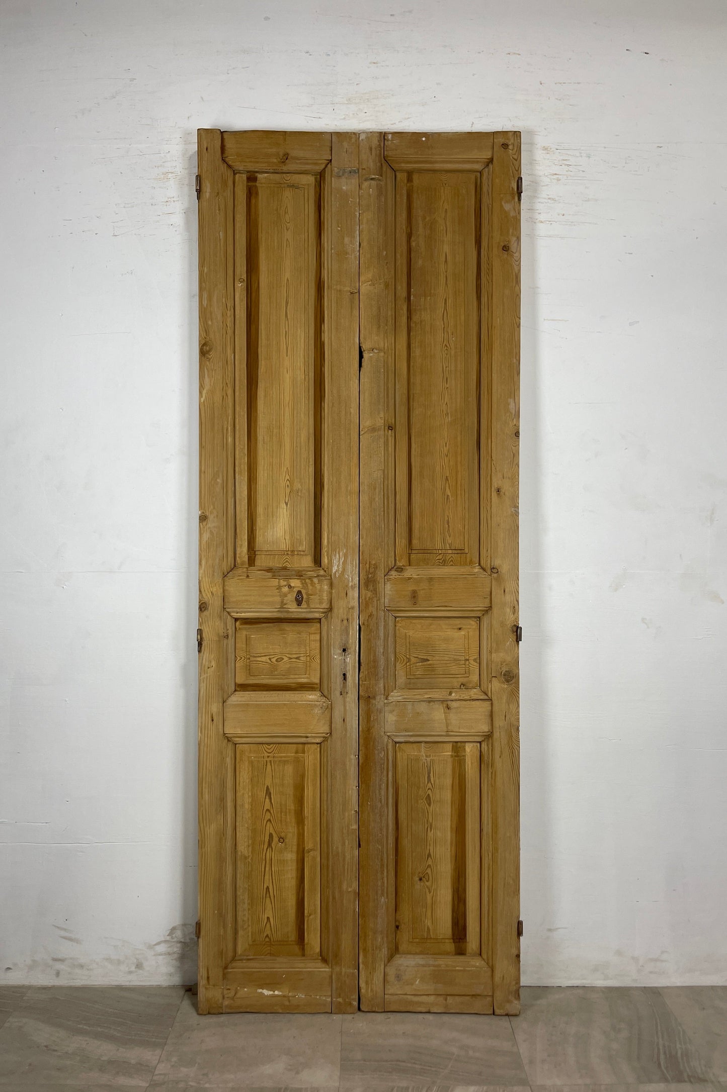 Antique French panel Doors (96.25 x 35.25) N133