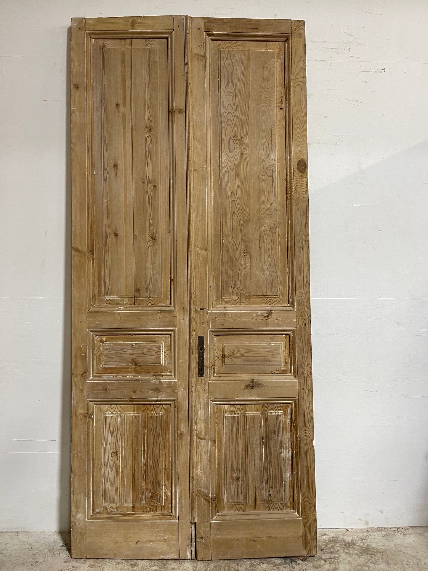 Antique French Panel Doors (102.5x46.75) J012