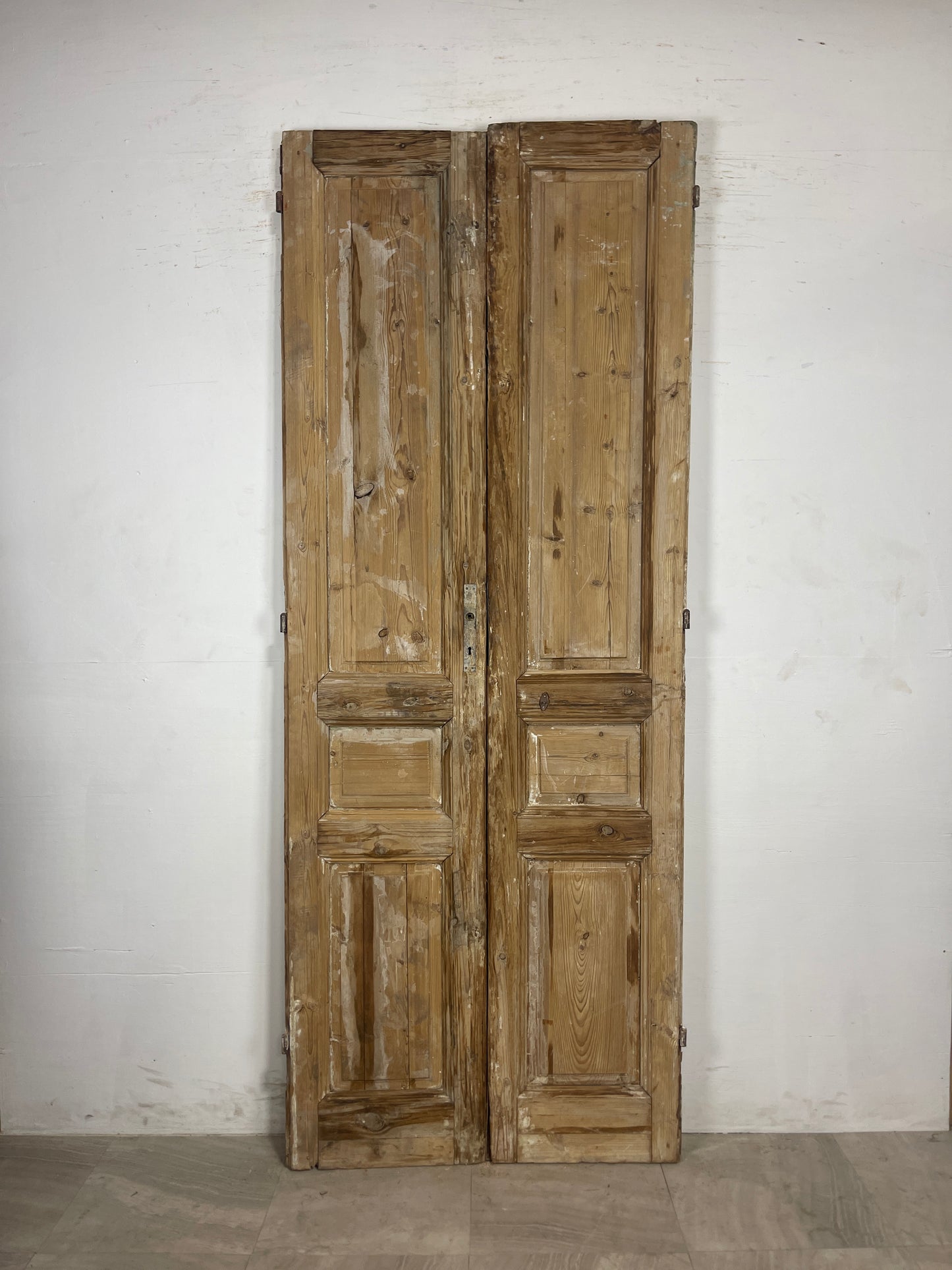 Antique French panel Doors (97.25 x 38.25) N115