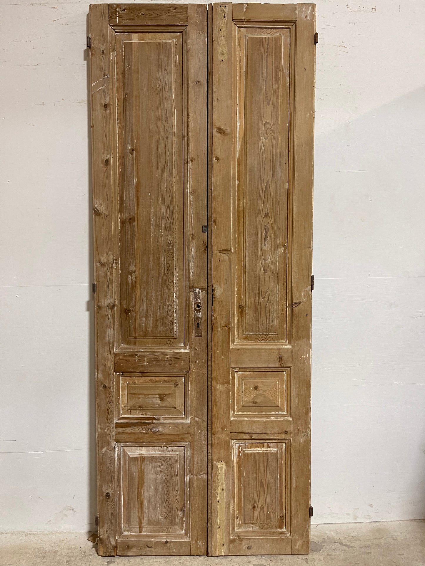 Antique French panel Doors (94.50 x 37.5) J608