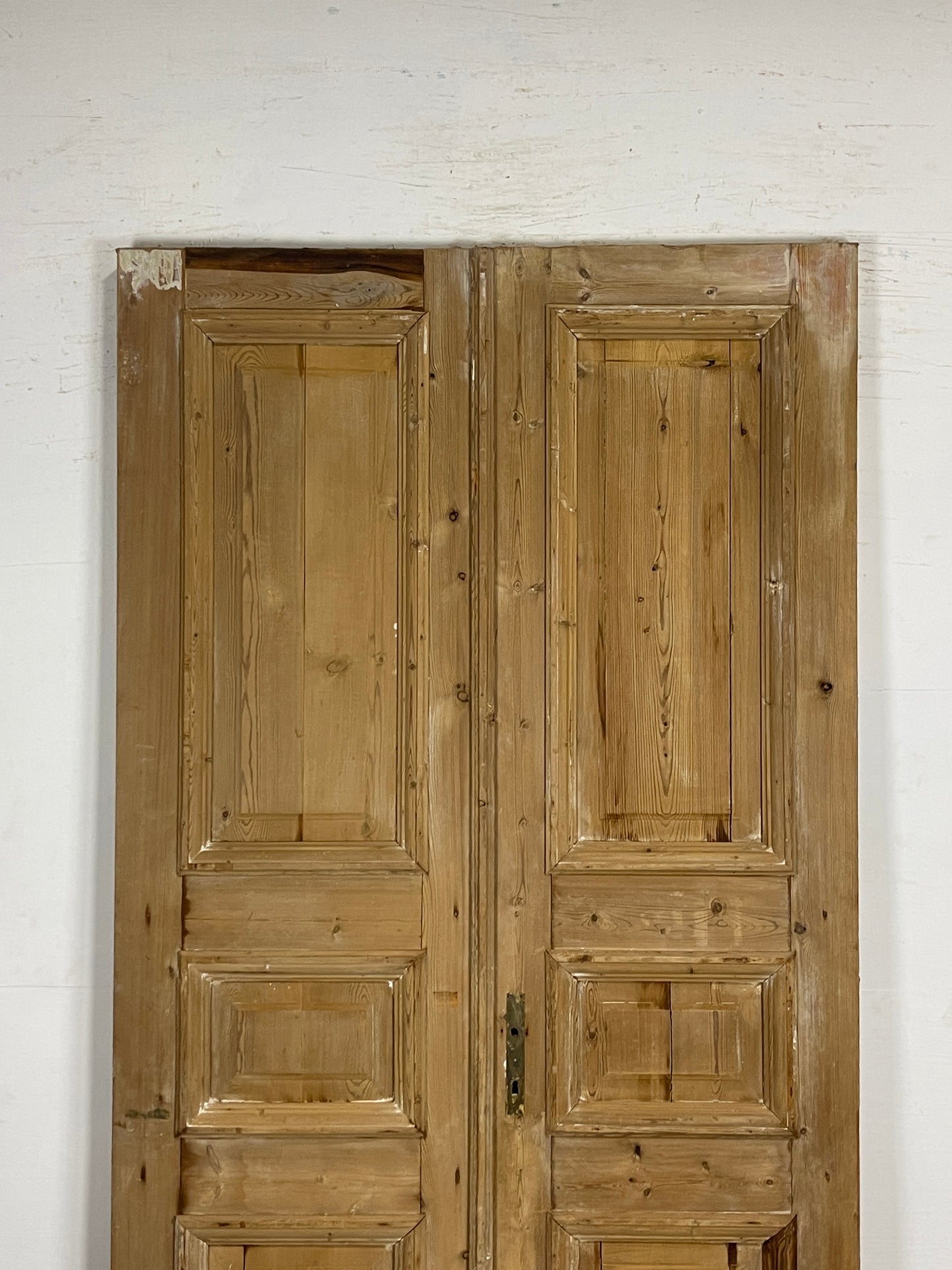 Antique French panel Doors (95 x 46.5) N137 FHL