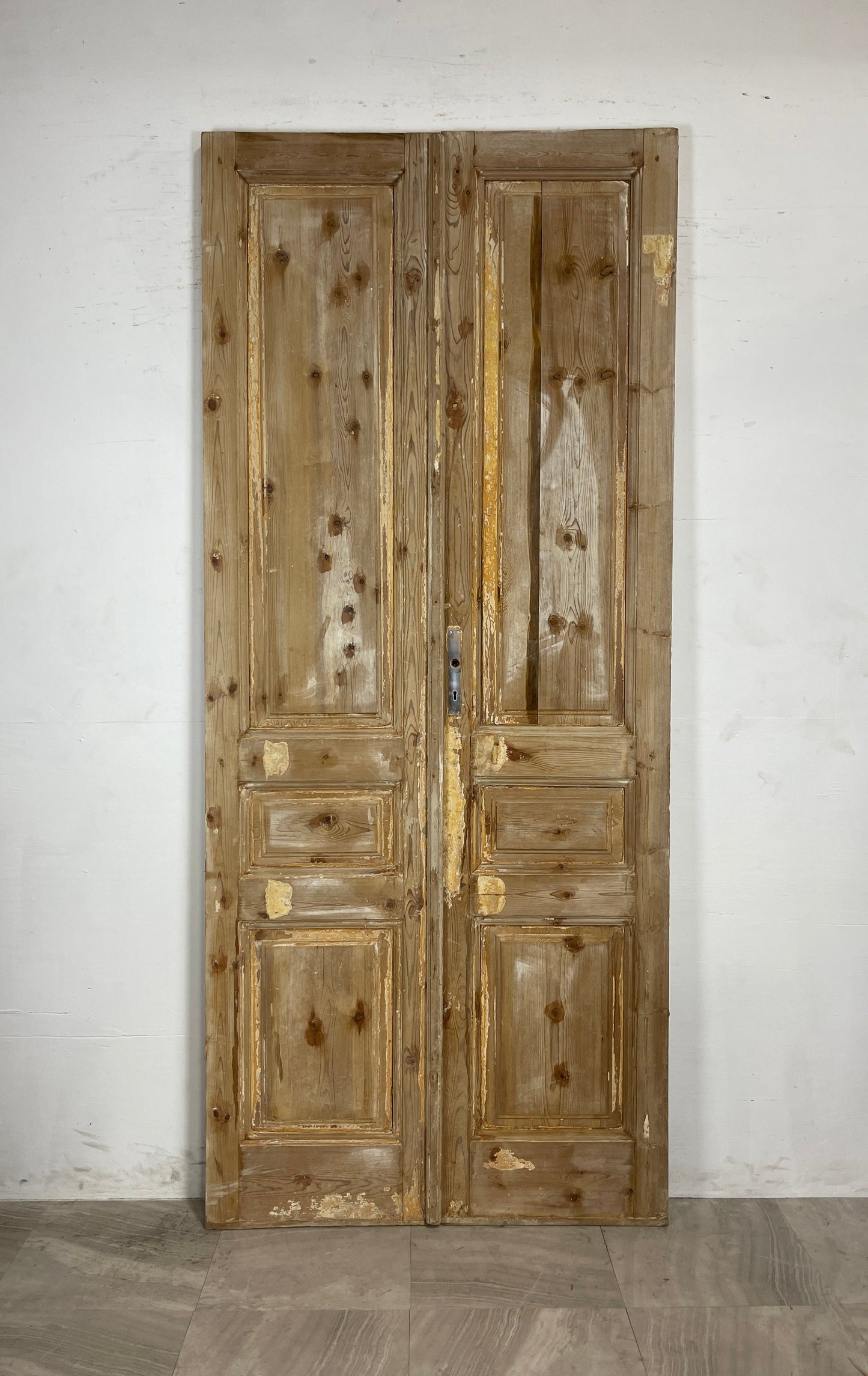 Antique French panel Doors (102.5 x 44) N070
