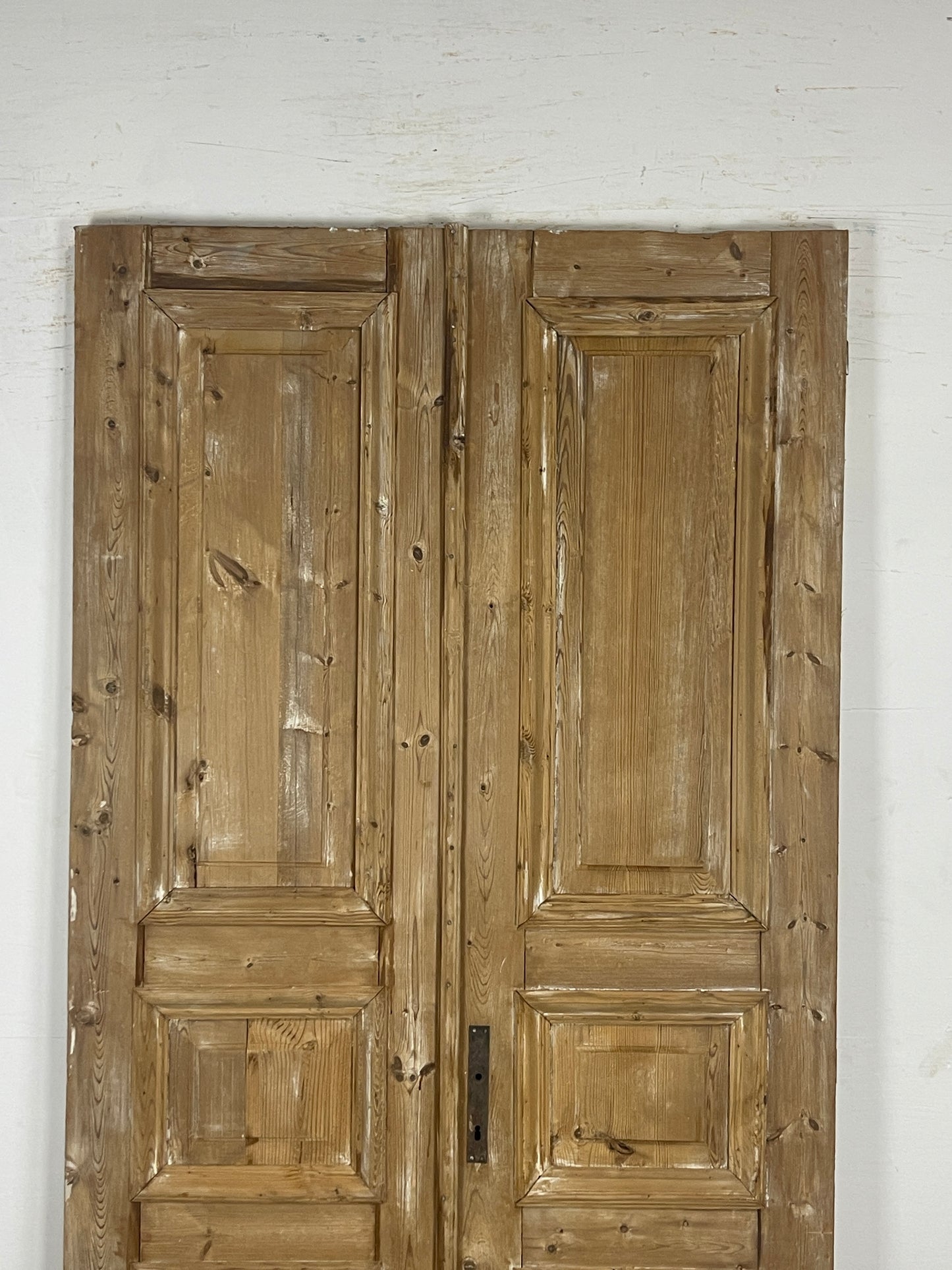 Antique French panel Doors (94.25 x 43.5) N112