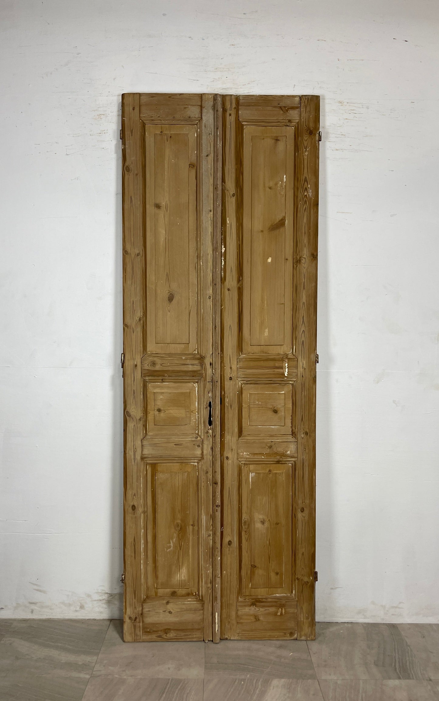 Antique French panel Doors (95.75 x 34.25) N104