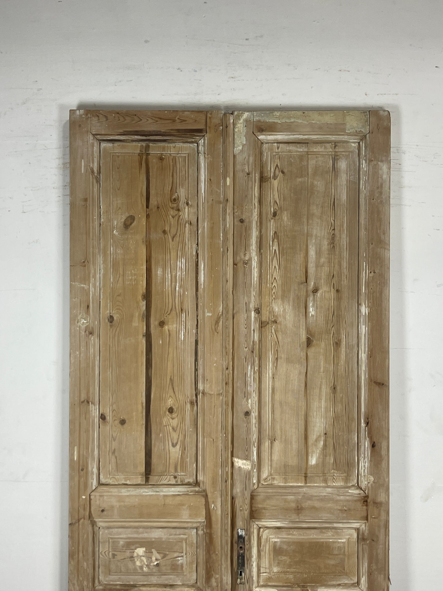 Antique French panel Doors (99.5 x 43.75) N124