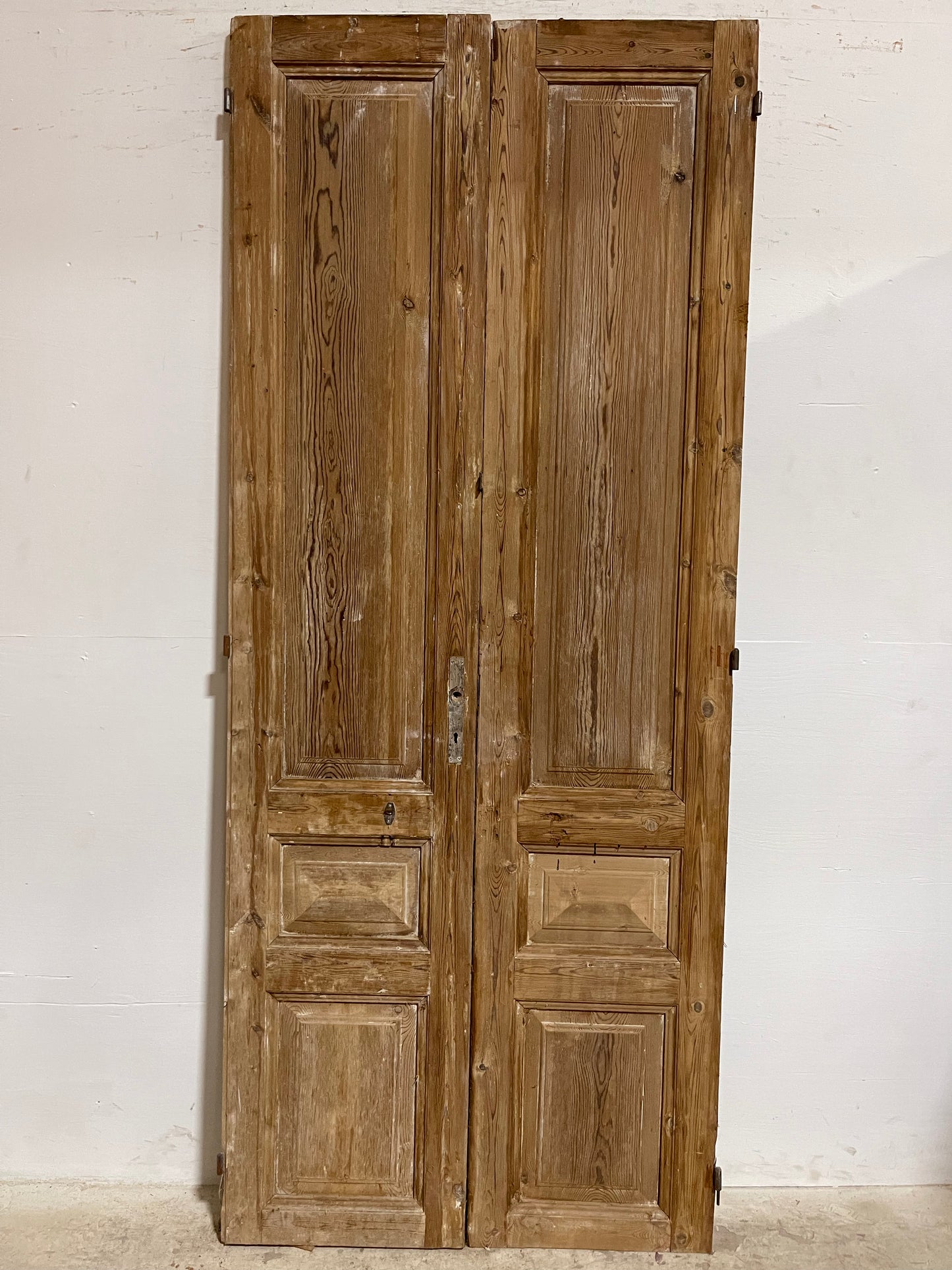 Antique French panel Doors (94.25x39.25) J612