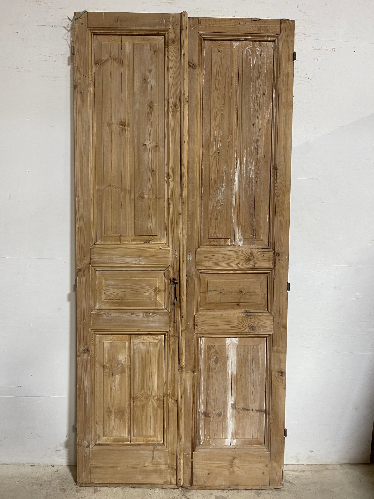 Antique French Panel Doors (98.25x44.25) J670