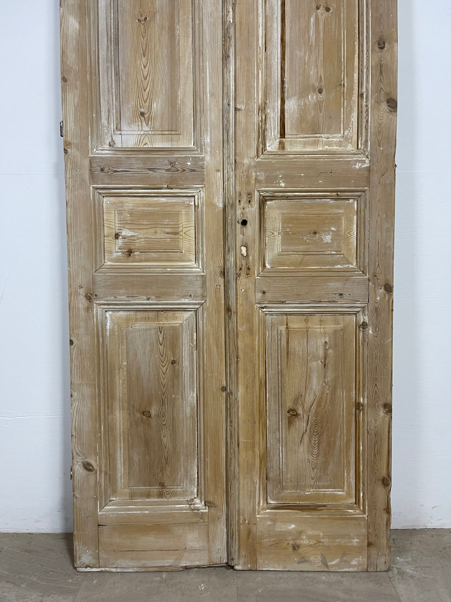 Antique French panel Doors (95.5 x 37.5) O129