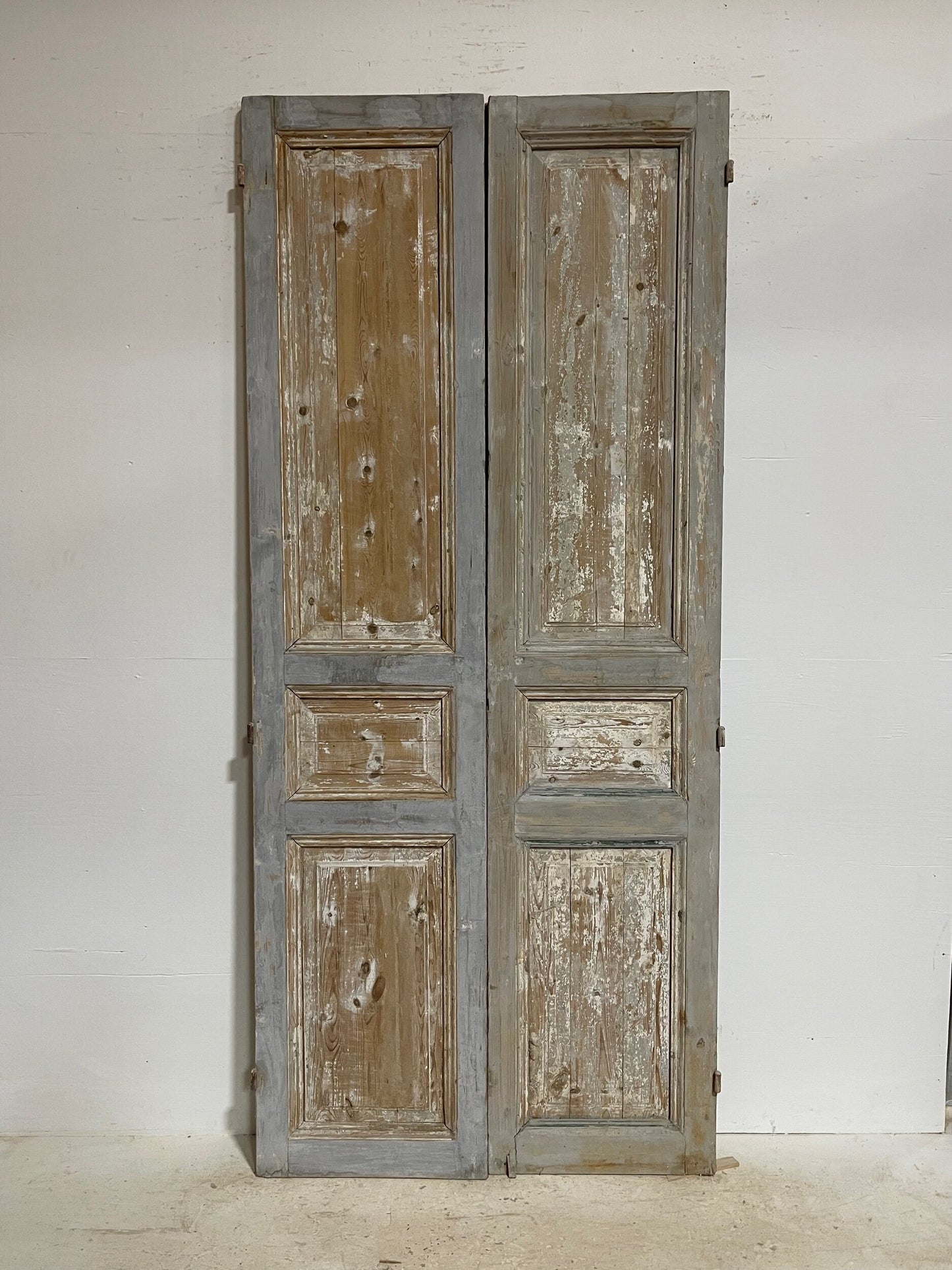 Antique French panel doors (98.5 x 43) G0115s