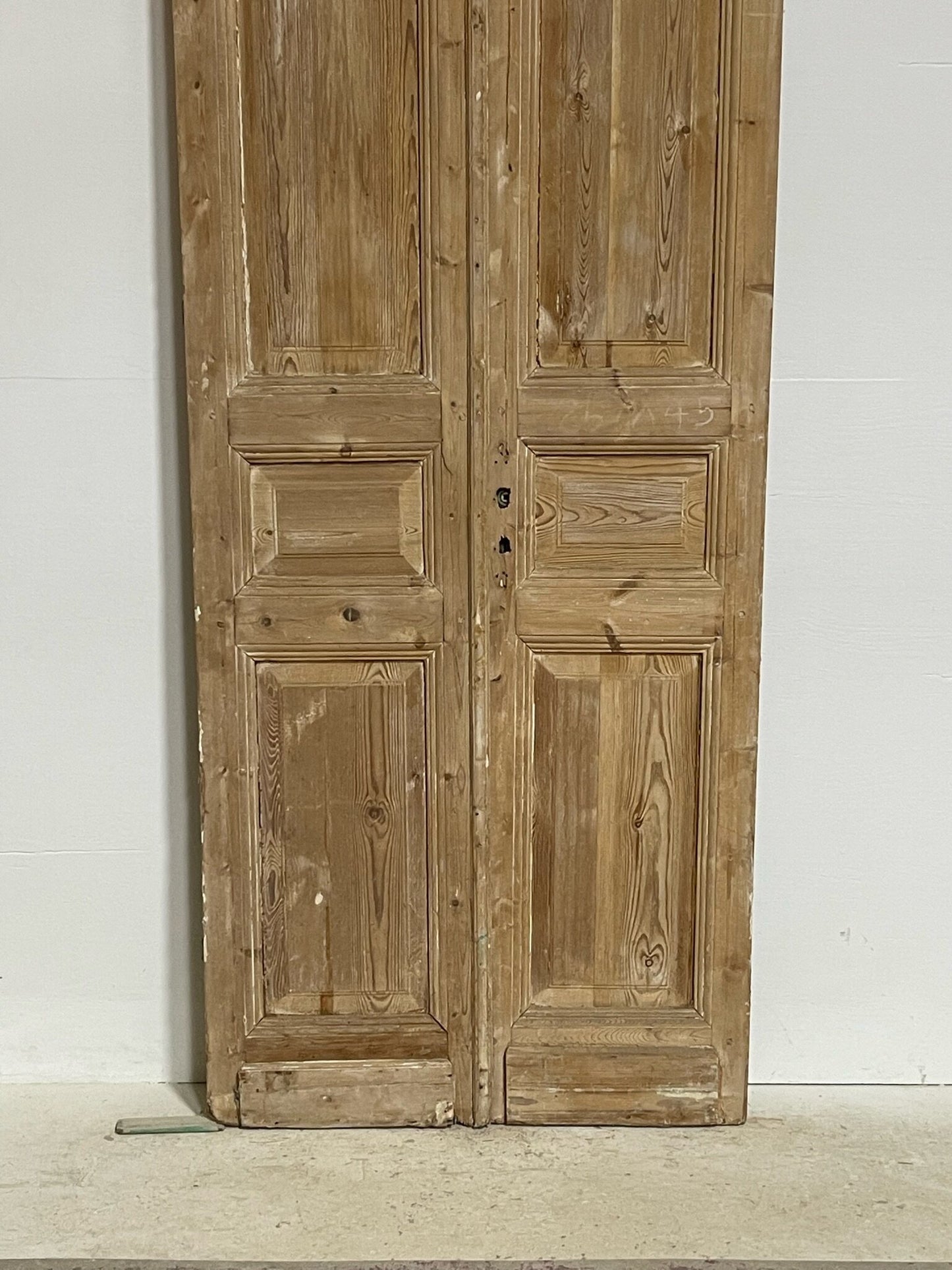 Antique French doors (101.25X35.75) G0166