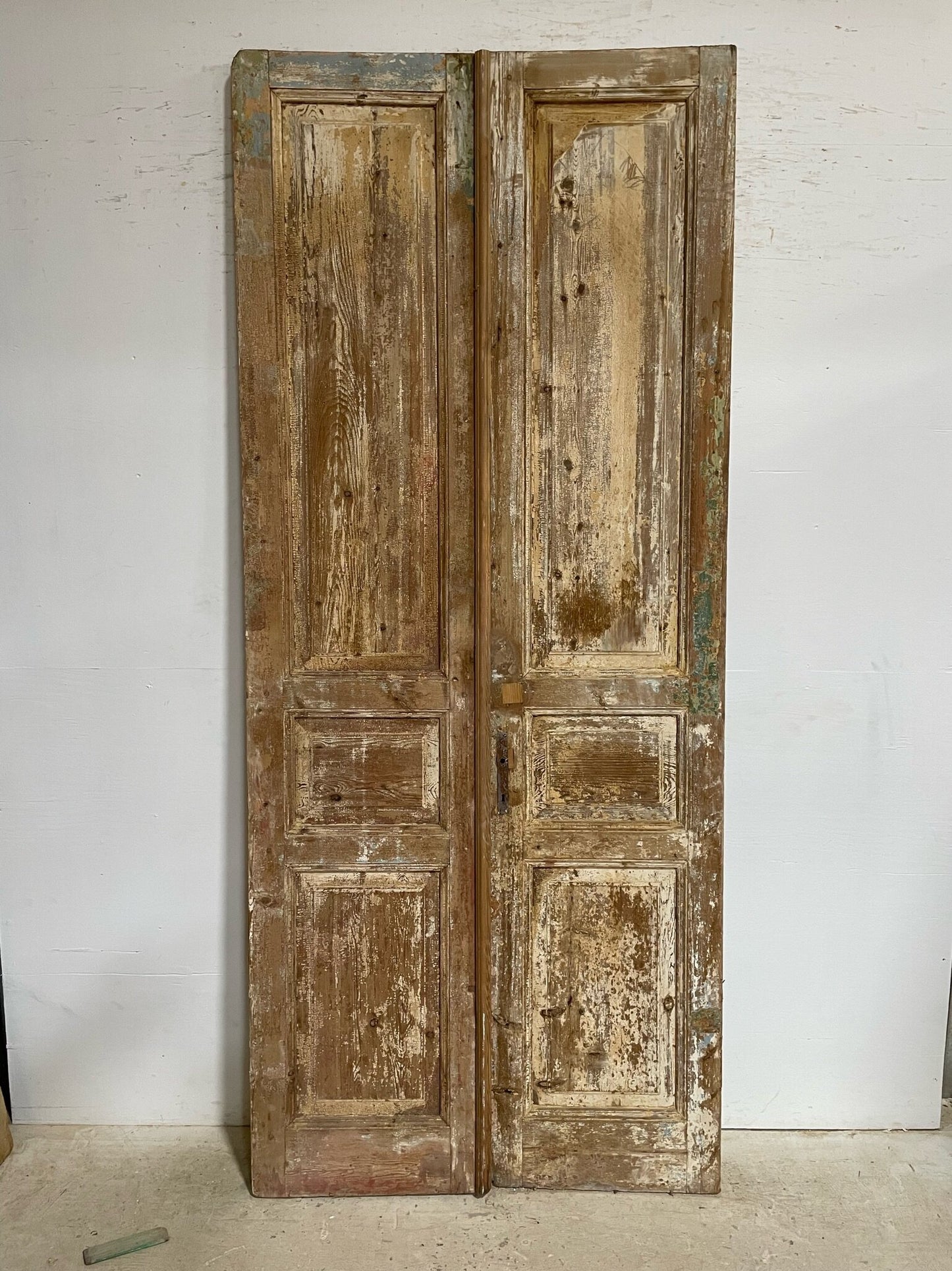 Antique French door (105.25x48.5) F0928