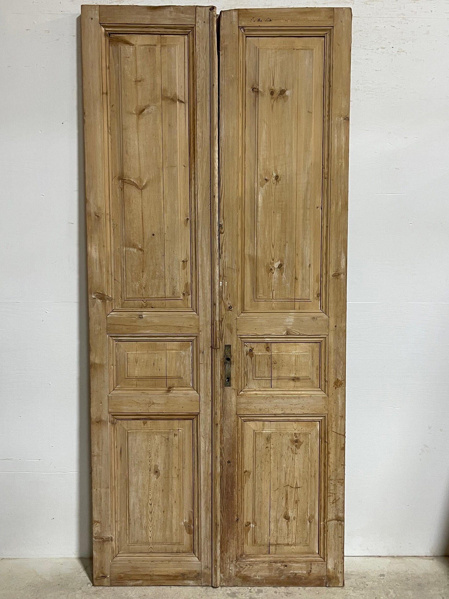 Antique French panel doors (96.5x43.5) I147