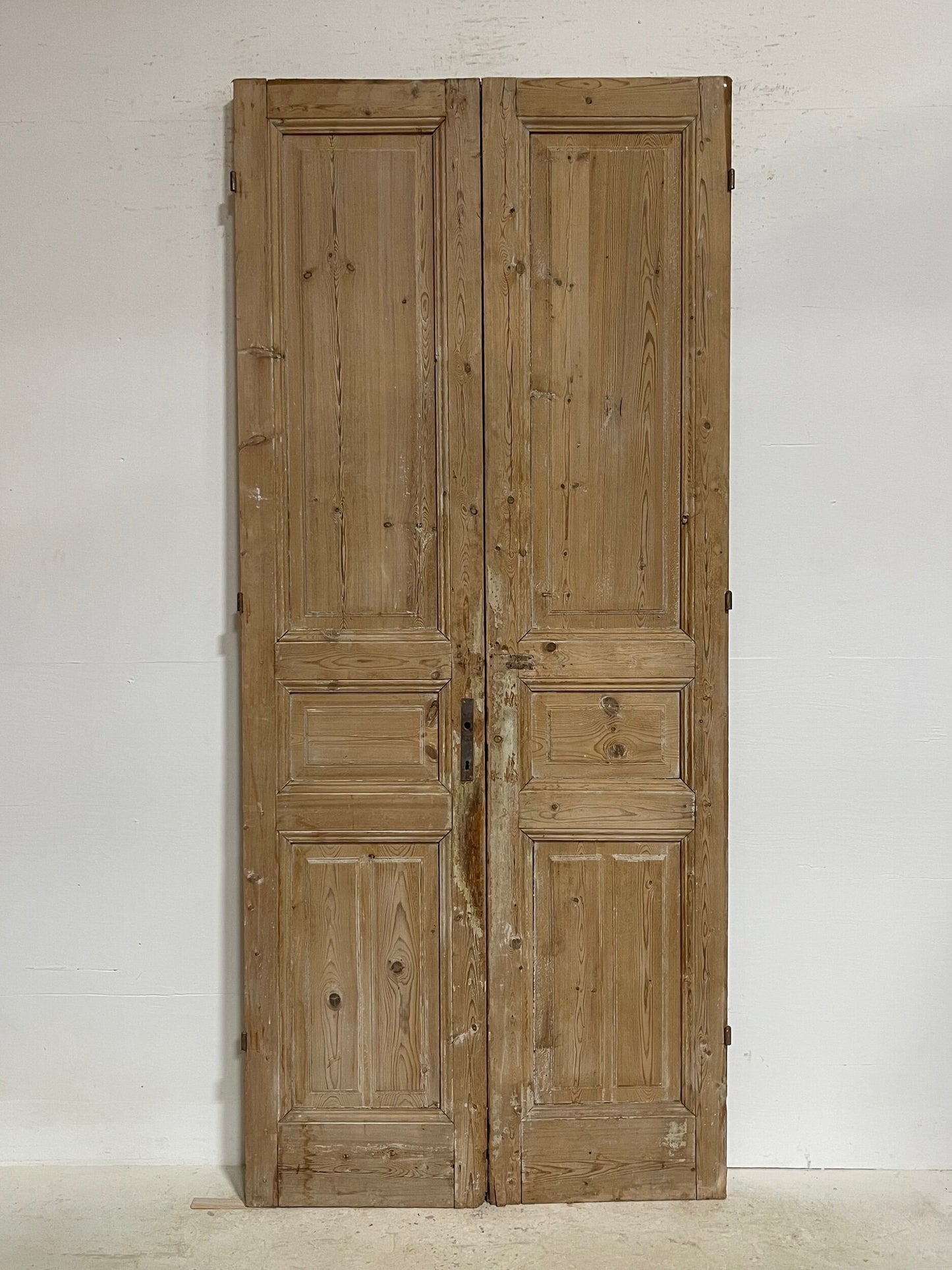 Antique French panel doors (98.5 x 42.75) G0197s